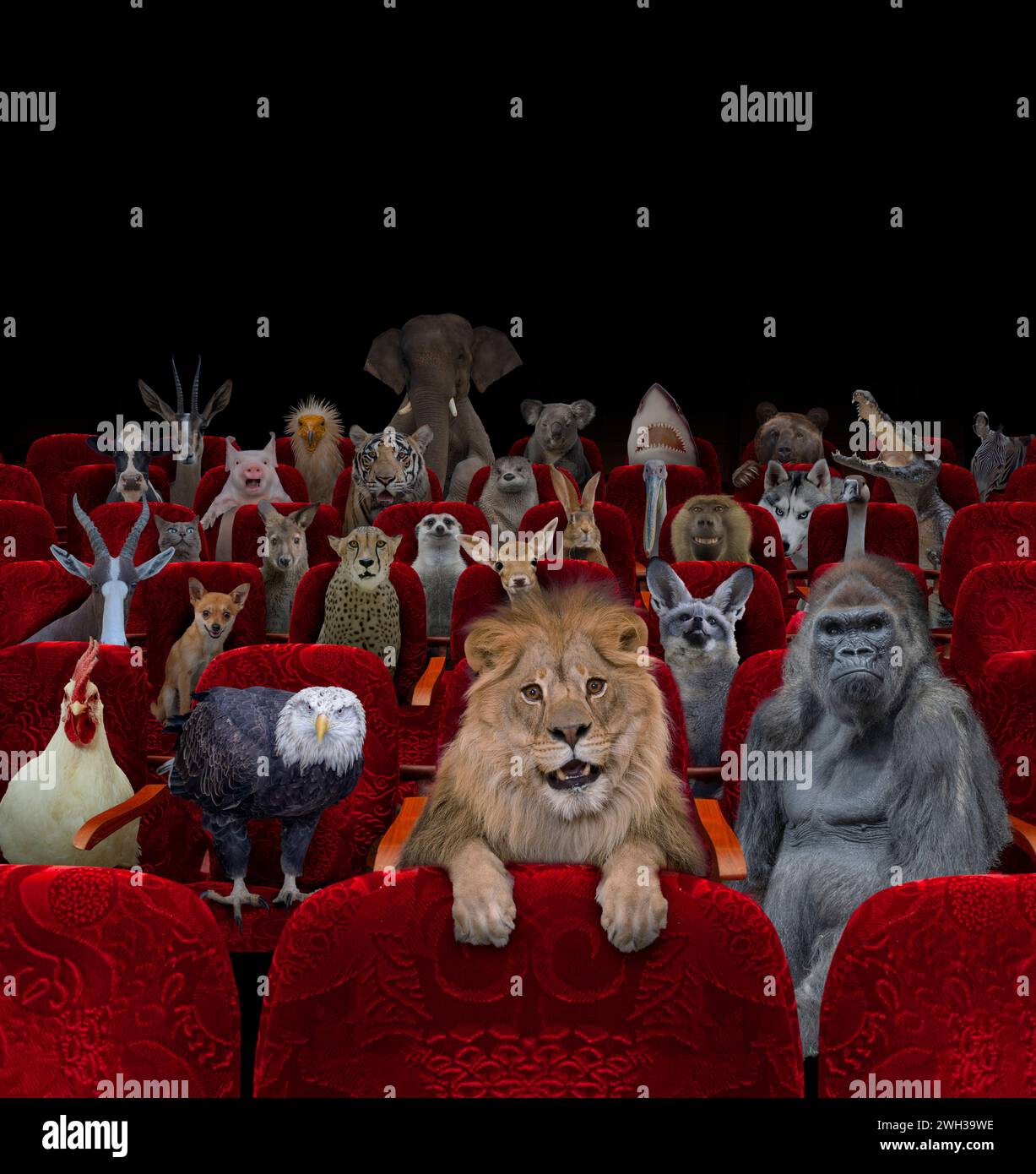 Un cinéma est rempli d'animaux d'un lion à un aigle en passant par une suricate dans un regard drôle sur le public et les animaux. Banque D'Images