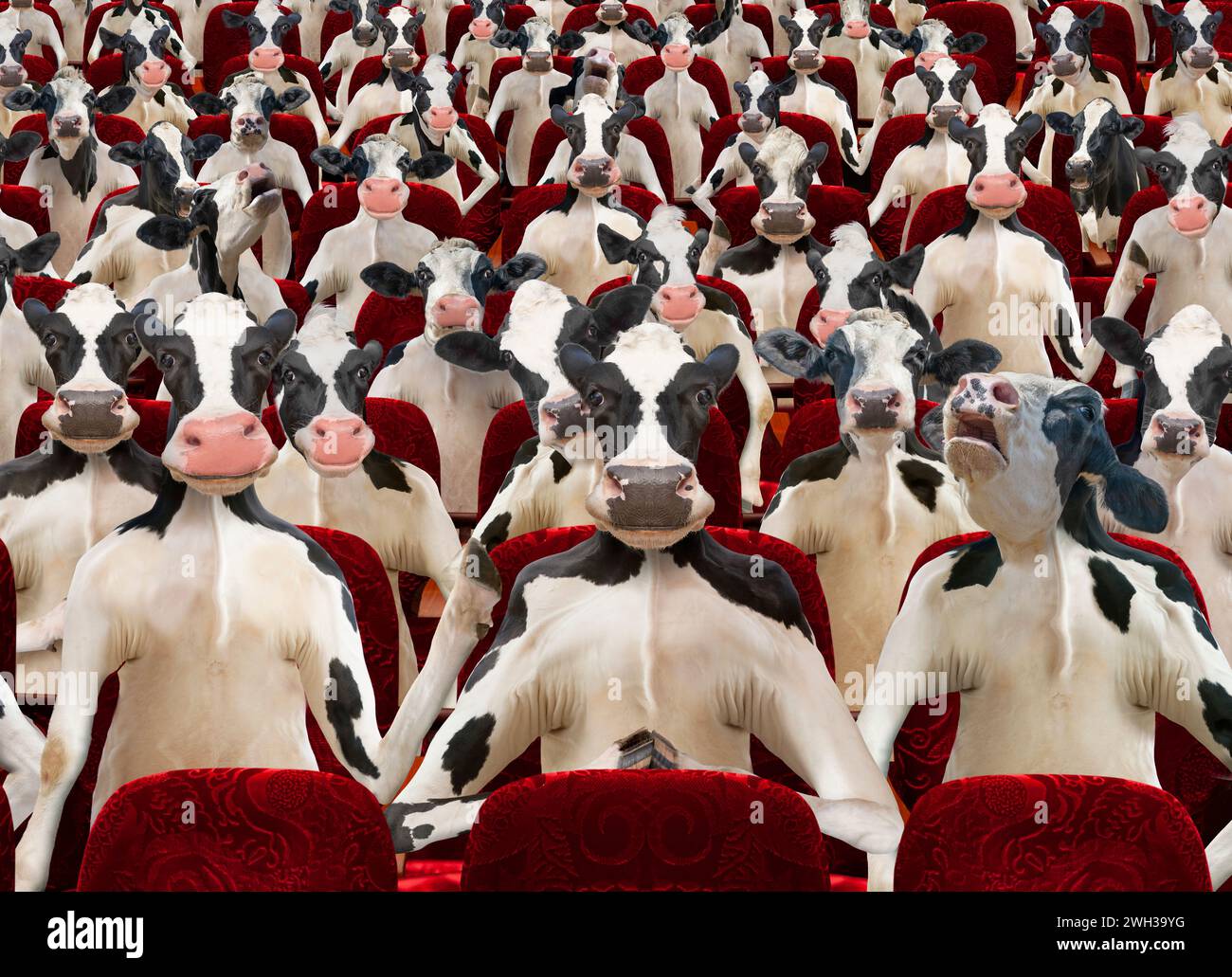 Une salle de cinéma est remplie d'un public de vaches Holstein dans une drôle, bizarre image anthropomorphique de vache. Banque D'Images