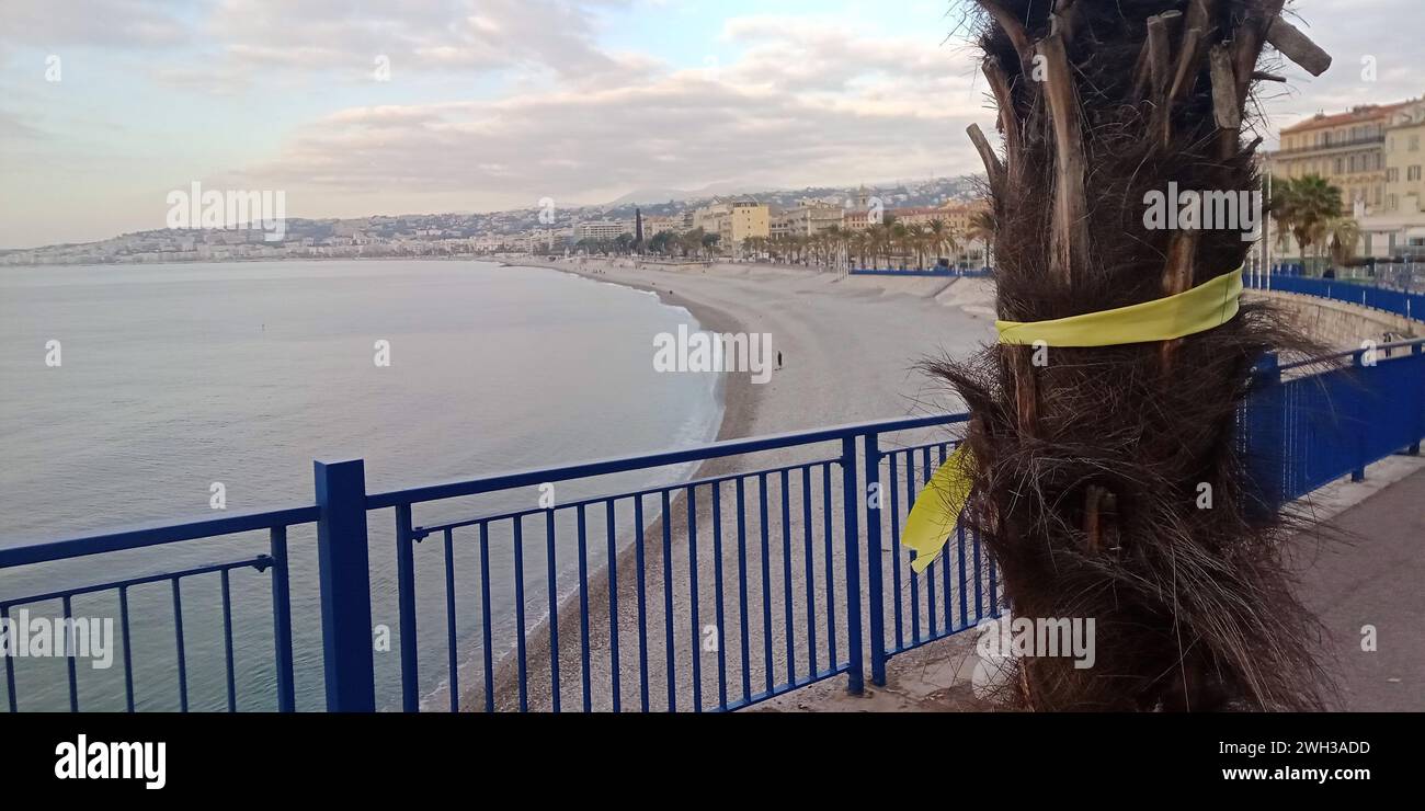 © B. ROMANKIEWICZ/MAXPPP - NICE 7/02/2024 les militants et bénévoles ont accroché des noms de rubans jaunes dans leur ville afin de marquer le passage symbolique de ce quatrième mois, au moment où la France rendra un hommage national aux victimes françaises de l'attaque du 7 octobre perpétrée par le Hamas dans le sud d'Israël. Nice, France, 7 févr. 2024 activistes et bénévoles accrochent des rubans jaunes dans leur ville pour marquer le passage symbolique de ce quatrième mois, au moment où la France rendra un hommage national aux victimes françaises du massacre du 7 octobre perpétré par le Hamas dans les années 1980 Banque D'Images