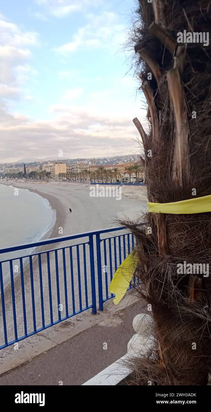 © B. ROMANKIEWICZ/MAXPPP - NICE 7/02/2024 les militants et bénévoles ont accroché des noms de rubans jaunes dans leur ville afin de marquer le passage symbolique de ce quatrième mois, au moment où la France rendra un hommage national aux victimes françaises de l'attaque du 7 octobre perpétrée par le Hamas dans le sud d'Israël. Nice, France, 7 févr. 2024 activistes et bénévoles accrochent des rubans jaunes dans leur ville pour marquer le passage symbolique de ce quatrième mois, au moment où la France rendra un hommage national aux victimes françaises du massacre du 7 octobre perpétré par le Hamas dans les années 1980 Banque D'Images