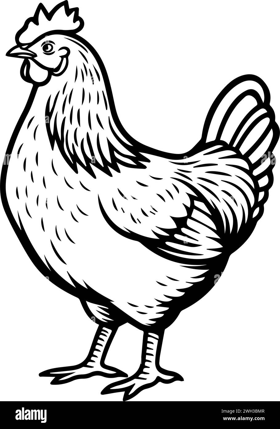 Dessin au trait à l'encre noire et blanche d'un poulet dodu Illustration de Vecteur