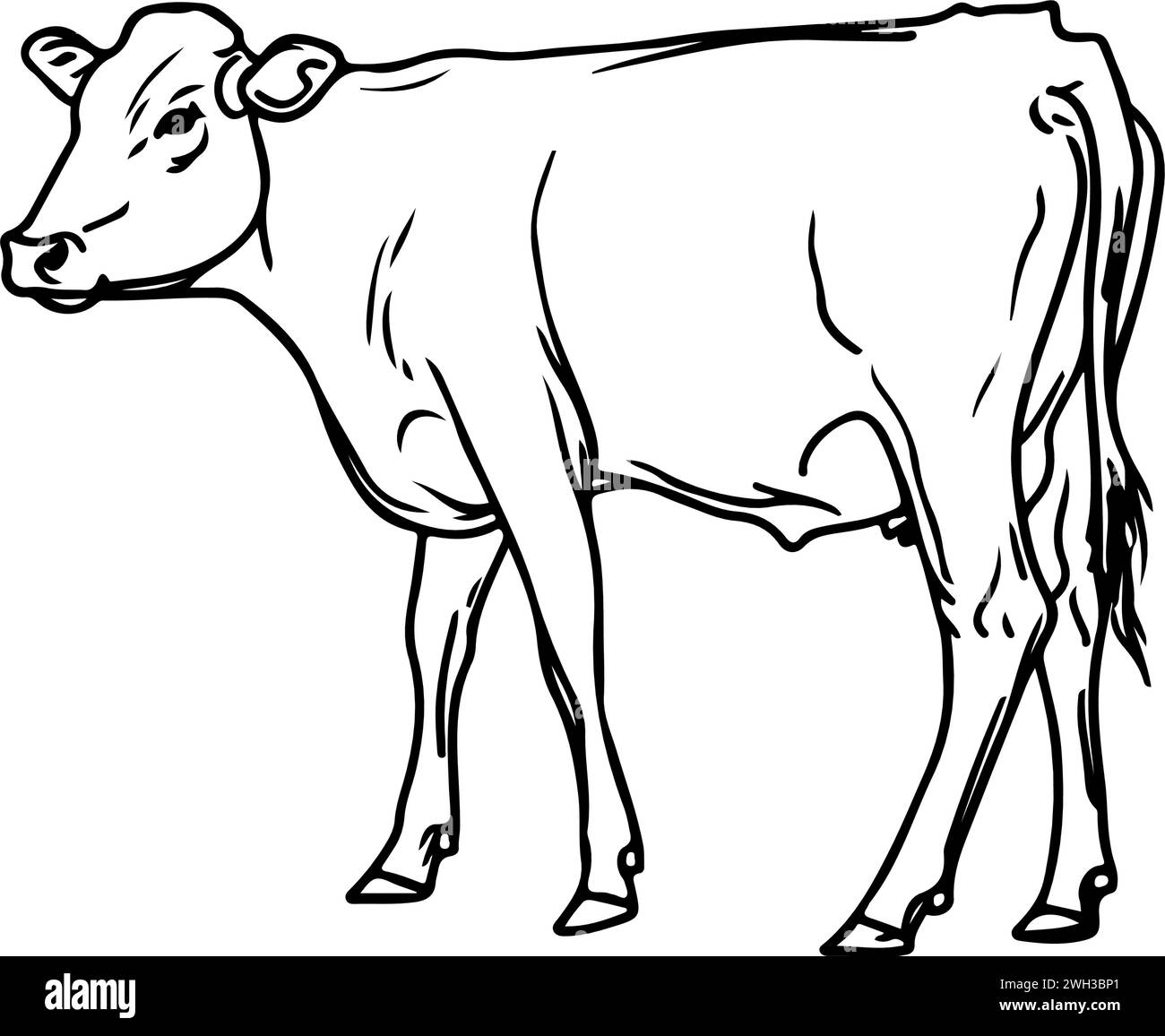 Dessin au trait d'une vache à l'encre noire et blanche Illustration de Vecteur