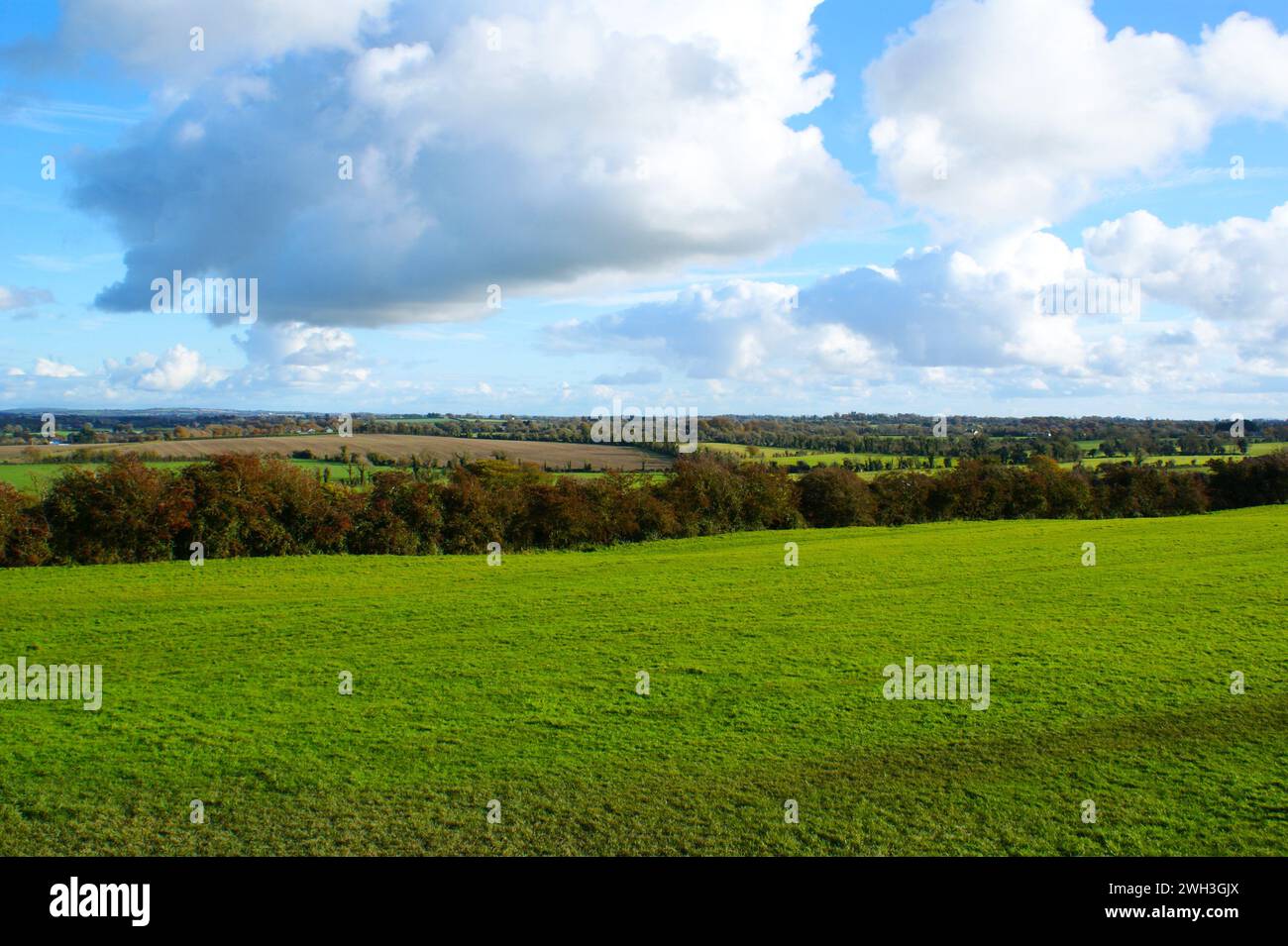 Collines de campagne de champs verts en Irlande rurale. Banque D'Images