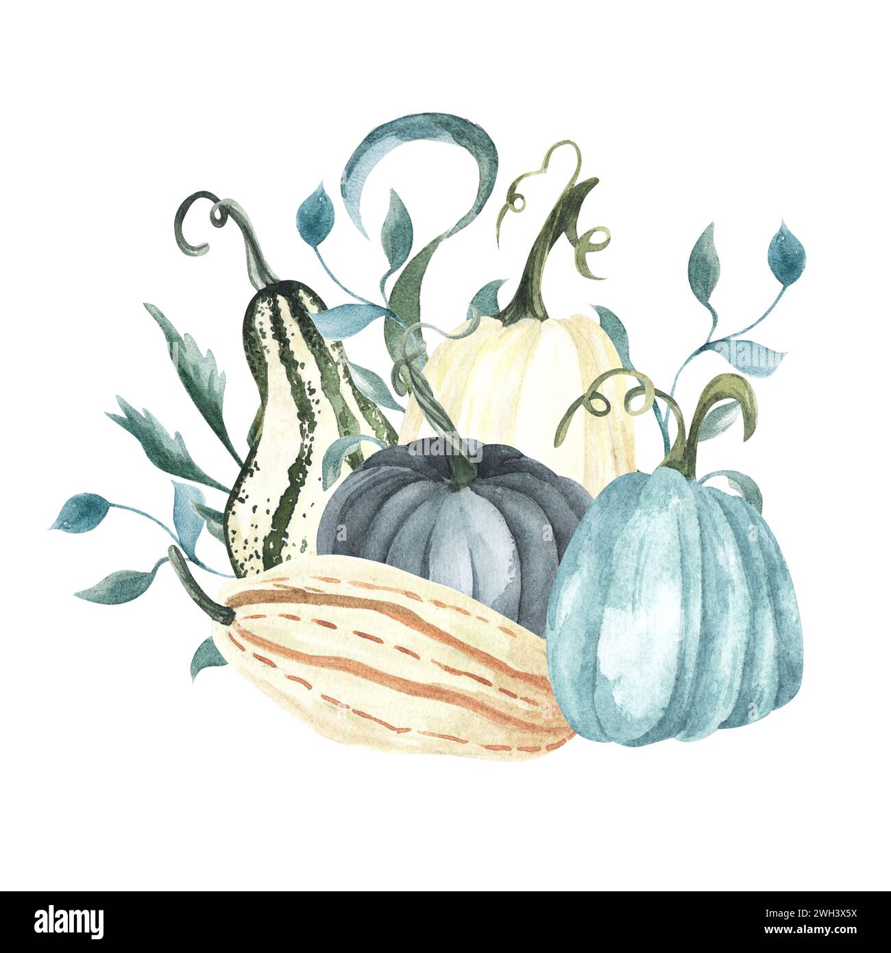 Composition de citrouille bleu et blanc à l'aquarelle, citrouilles florales, clip art d'Halloween, éléments de conception d'automne, arrangement d'automne, isolez le clip art de récolte Banque D'Images