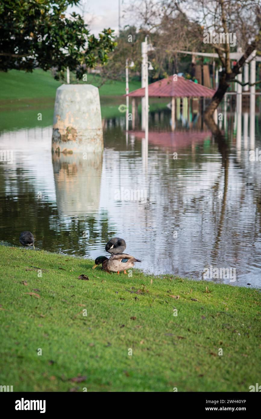 Terrain de jeu inférieur et grand étang au parc Polliwog inondé par la pluie à Manhattan Beach, CA Banque D'Images