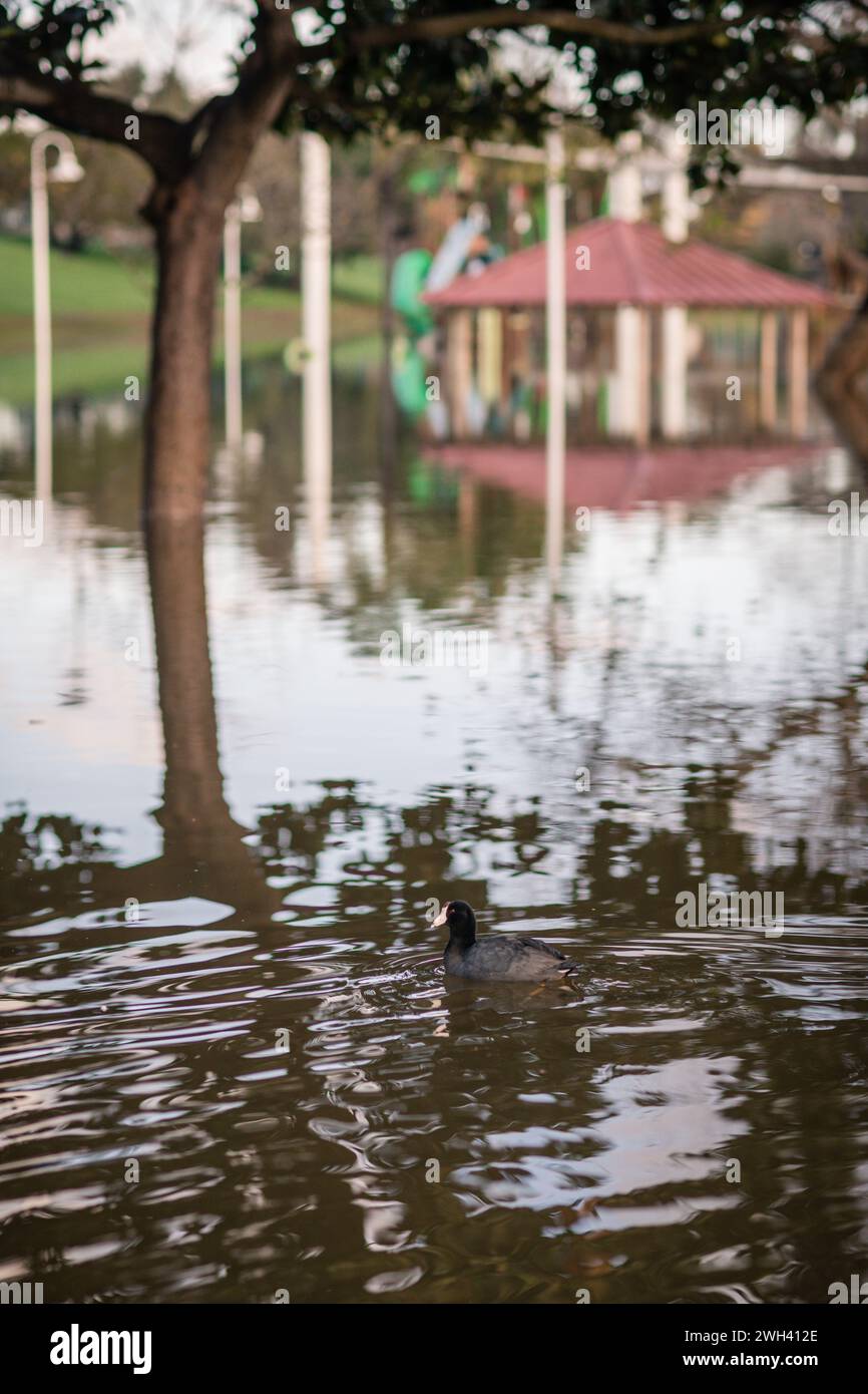 Terrain de jeu inférieur et grand étang au parc Polliwog inondé par la pluie à Manhattan Beach, CA Banque D'Images