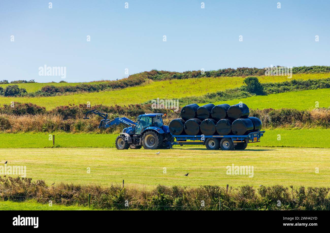 Balles d'ensilage Banque D'Images