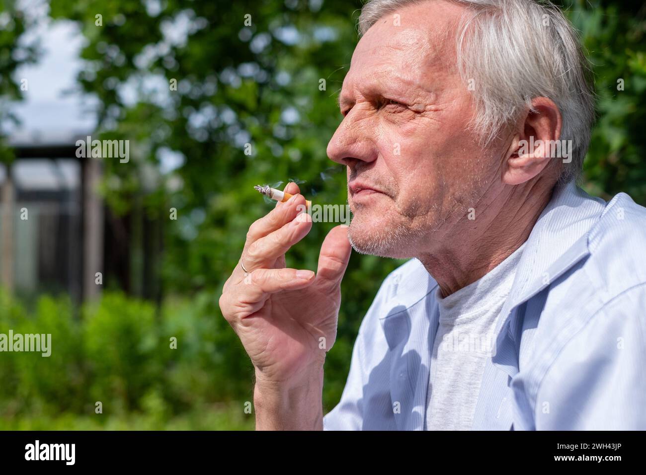 Vieil homme fumant une cigarette dans un parc ensoleillé, tir franc adapté aux discussions sur le mode de vie et le vieillissement, les habitudes malsaines Banque D'Images