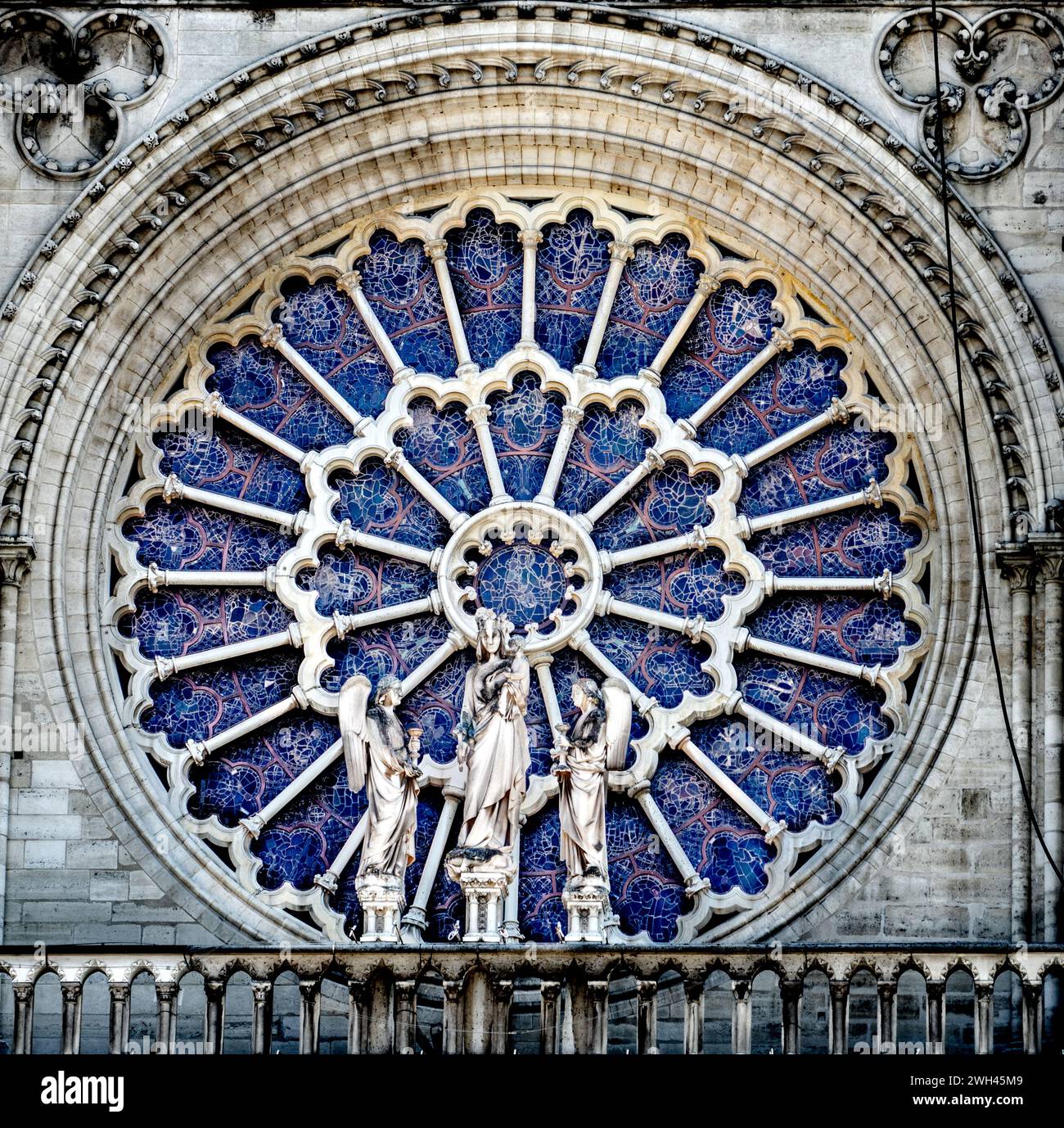 Gros plan de la Rose-fenêtre de la cathédrale notre-Dame de Paris, en cours de réparation suite à un incendie dévastateur du 15 avril 2019 Banque D'Images