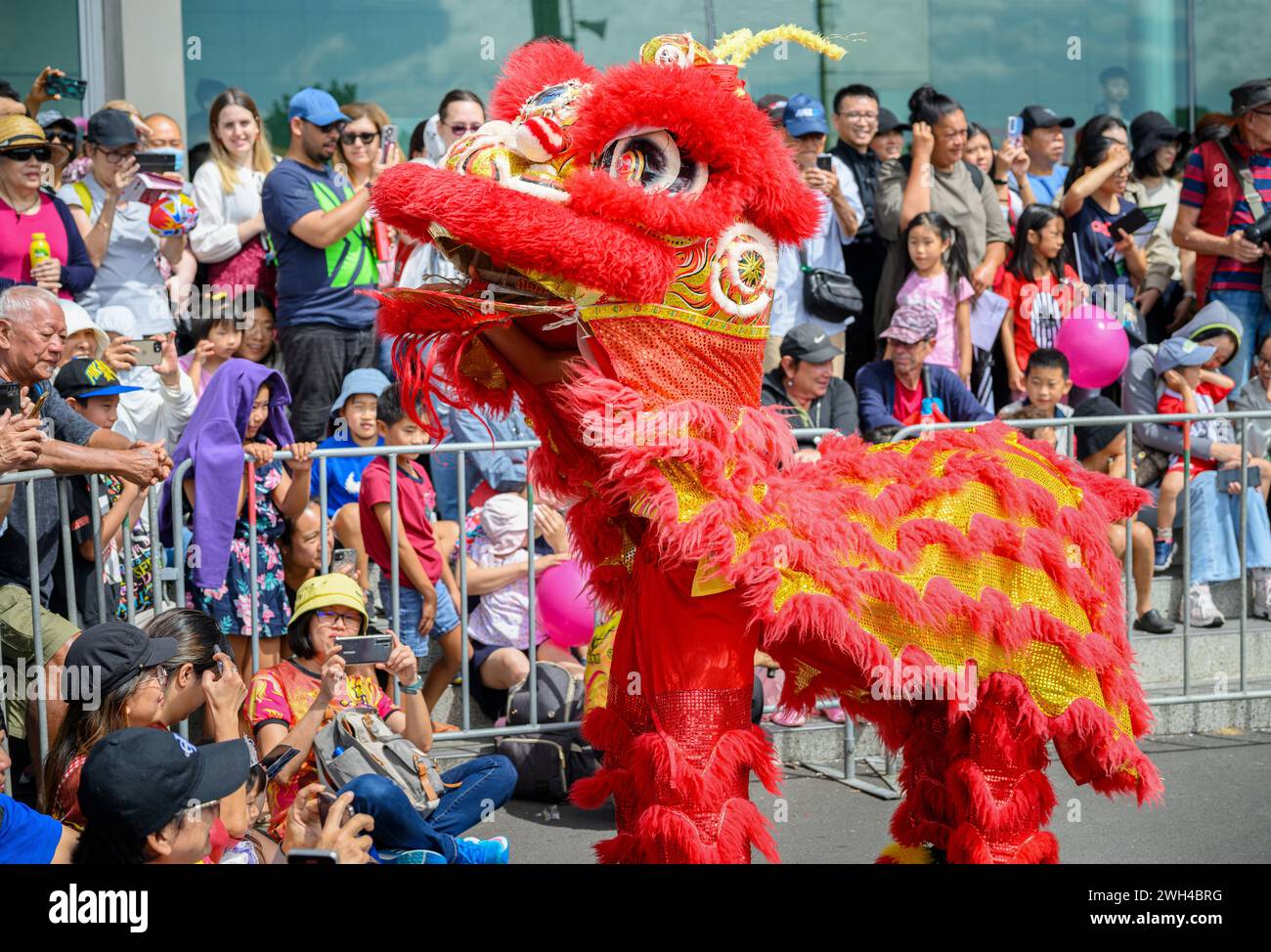 Auckland, Nouvelle-Zélande - 03 février 2024 : des foules de gens encouragent les danseurs de lion. Célébration du nouvel an chinois. Banque D'Images