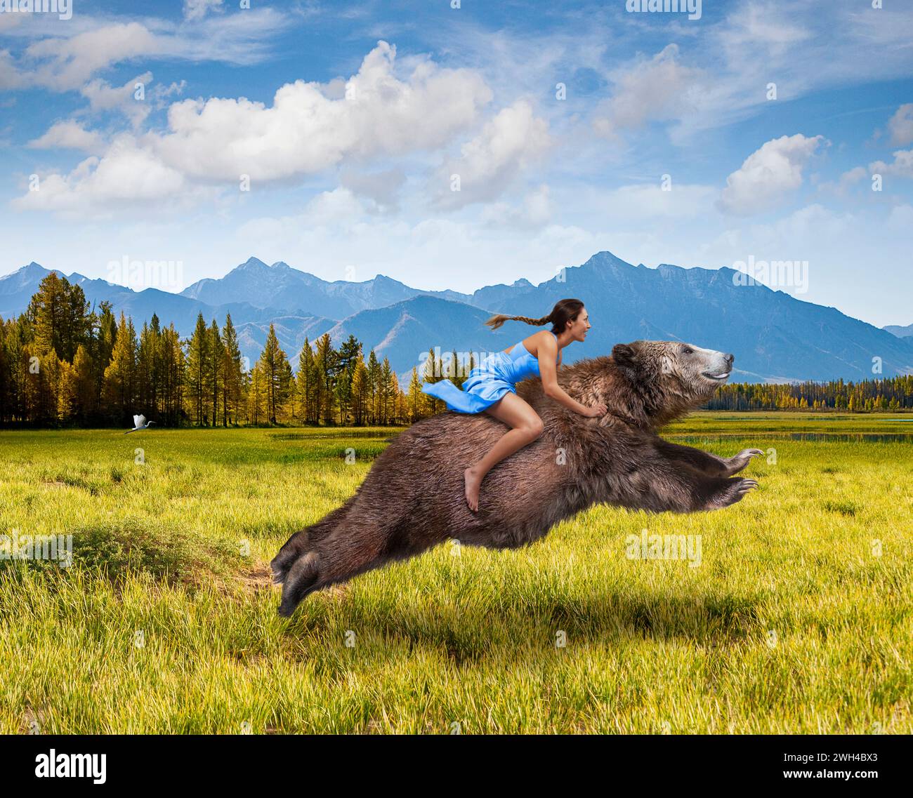 Une femme monte un ours en charge à travers une prairie de montagne dans une image sur les femmes fortes, la liberté, le courage, la force et l'audace. Banque D'Images