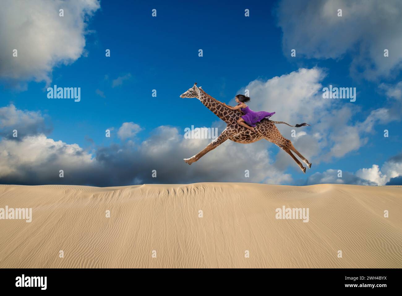 Une femme forte galope sur une girafe à travers une dune de sable dans une image d'audace, de courage, de liberté et d'inattendu. Banque D'Images
