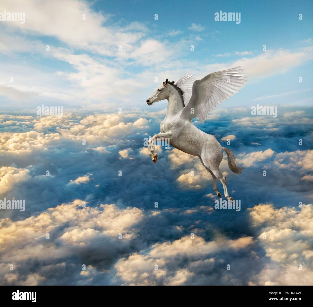 Un Pégase blanc mythologique s'élève au-dessus d'un paysage de nuages dramatique sur des ailes puissantes dans une image de puissance, de liberté, de possibilité et de pureté. Banque D'Images