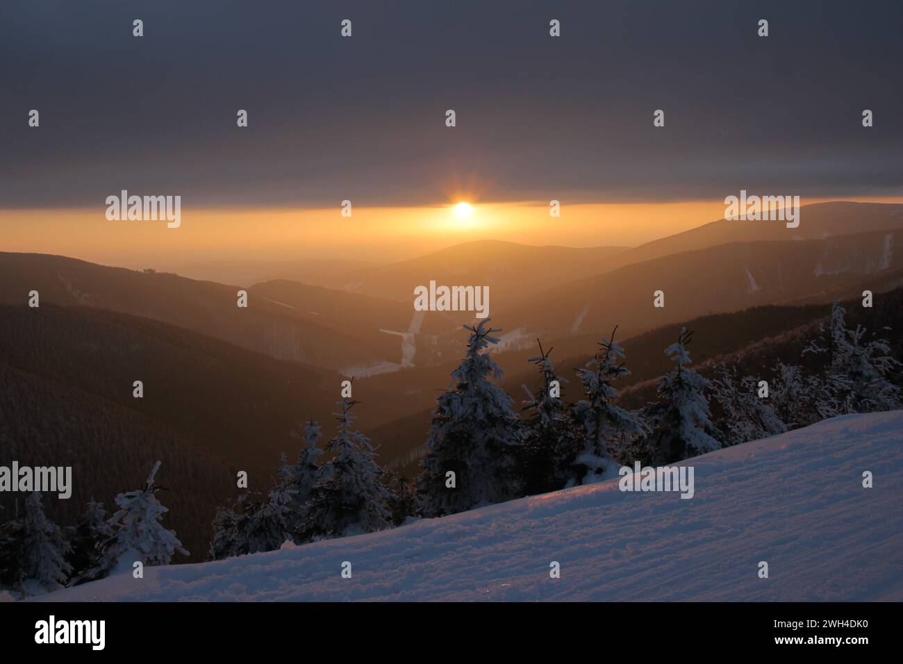 Coucher de soleil dans les montagnes et sapins enneigés dans les Carpates de la République tchèque. Photo prise sur une piste de ski de fond Banque D'Images
