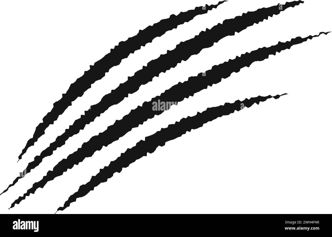 Marques de griffes de rayure. Chat, tigre, ours, loup, dragon, monstre, trace de talons de loup-garou isolé sur fond blanc. Cicatrices déchirées effrayantes. Les animaux sauvages grattent la piste. Illustration graphique vectorielle Illustration de Vecteur