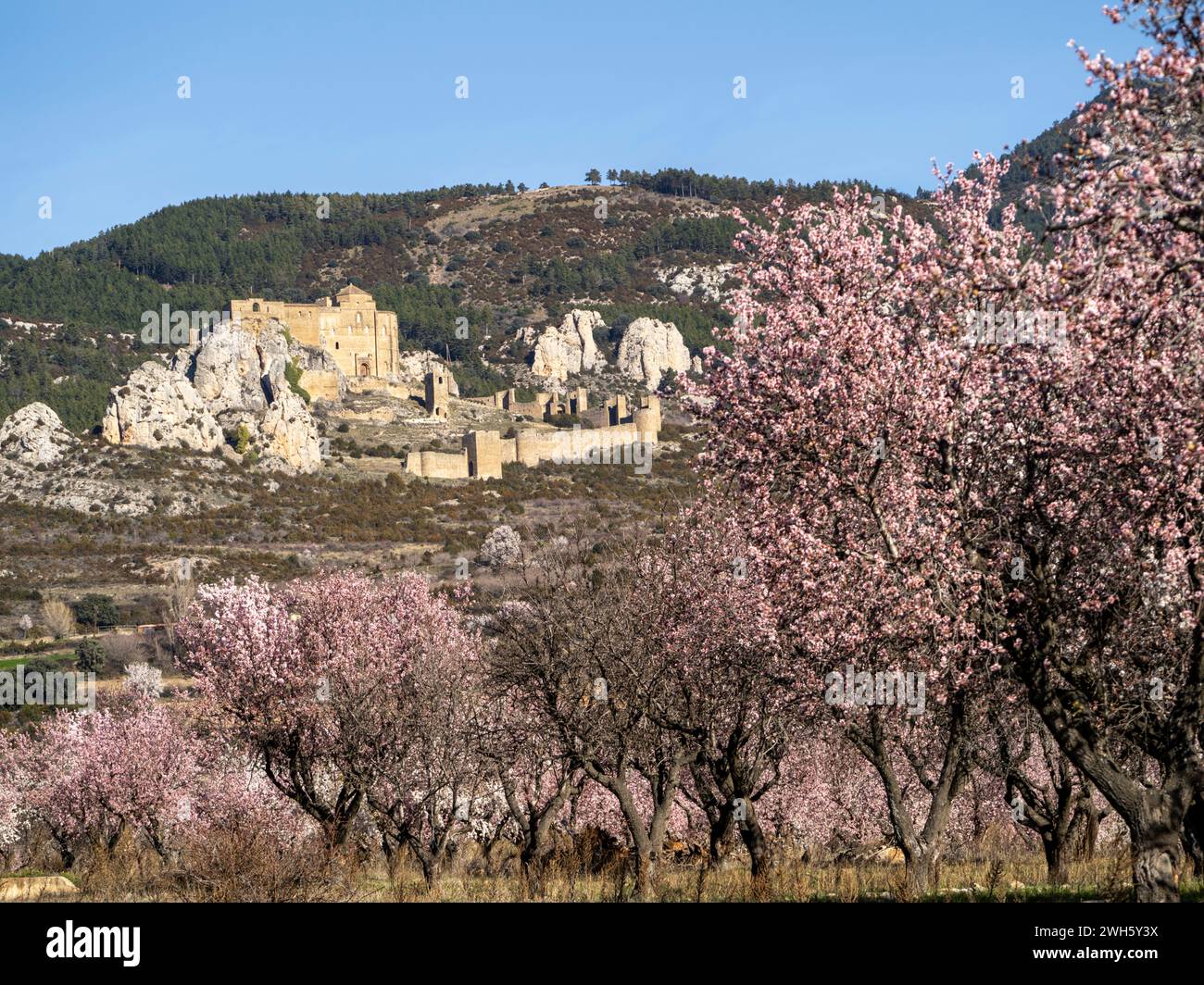 Château de Loarre romane médiévale fortification défensive romane Huesca Aragon Espagne L'un des châteaux médiévaux les mieux conservés d'Espagne Banque D'Images