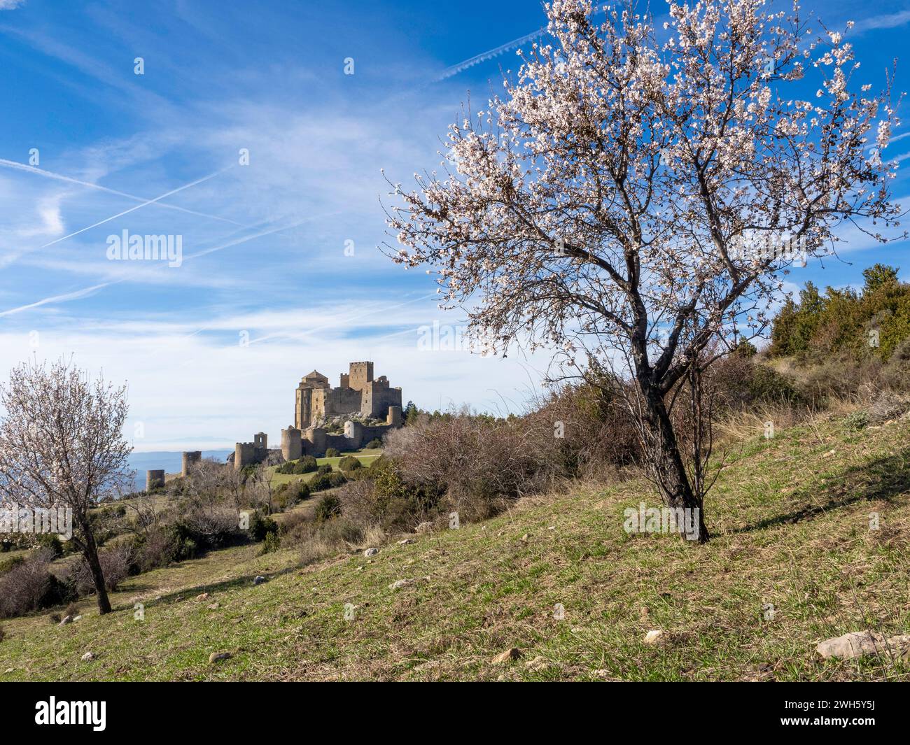 Château de Loarre romane médiévale fortification défensive romane Huesca Aragon Espagne L'un des châteaux médiévaux les mieux conservés d'Espagne Banque D'Images