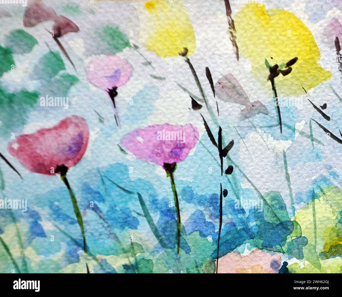 Arrière-plans de couleur abstraits pour la conception Art peinture à l'aquarelle fleur Banque D'Images