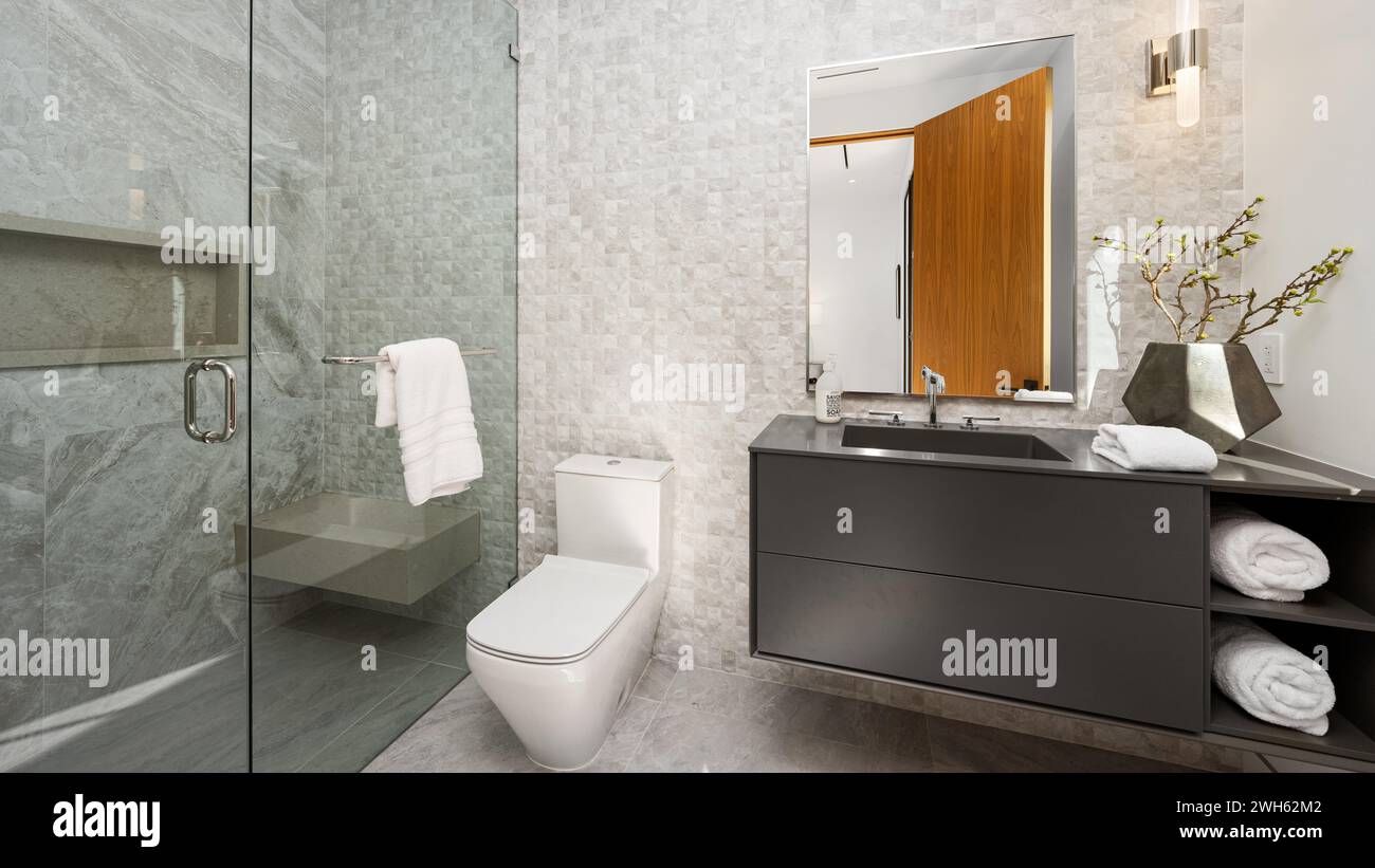 Une salle de bains moderne avec une douche à l'italienne et un meuble de toilette noir Banque D'Images