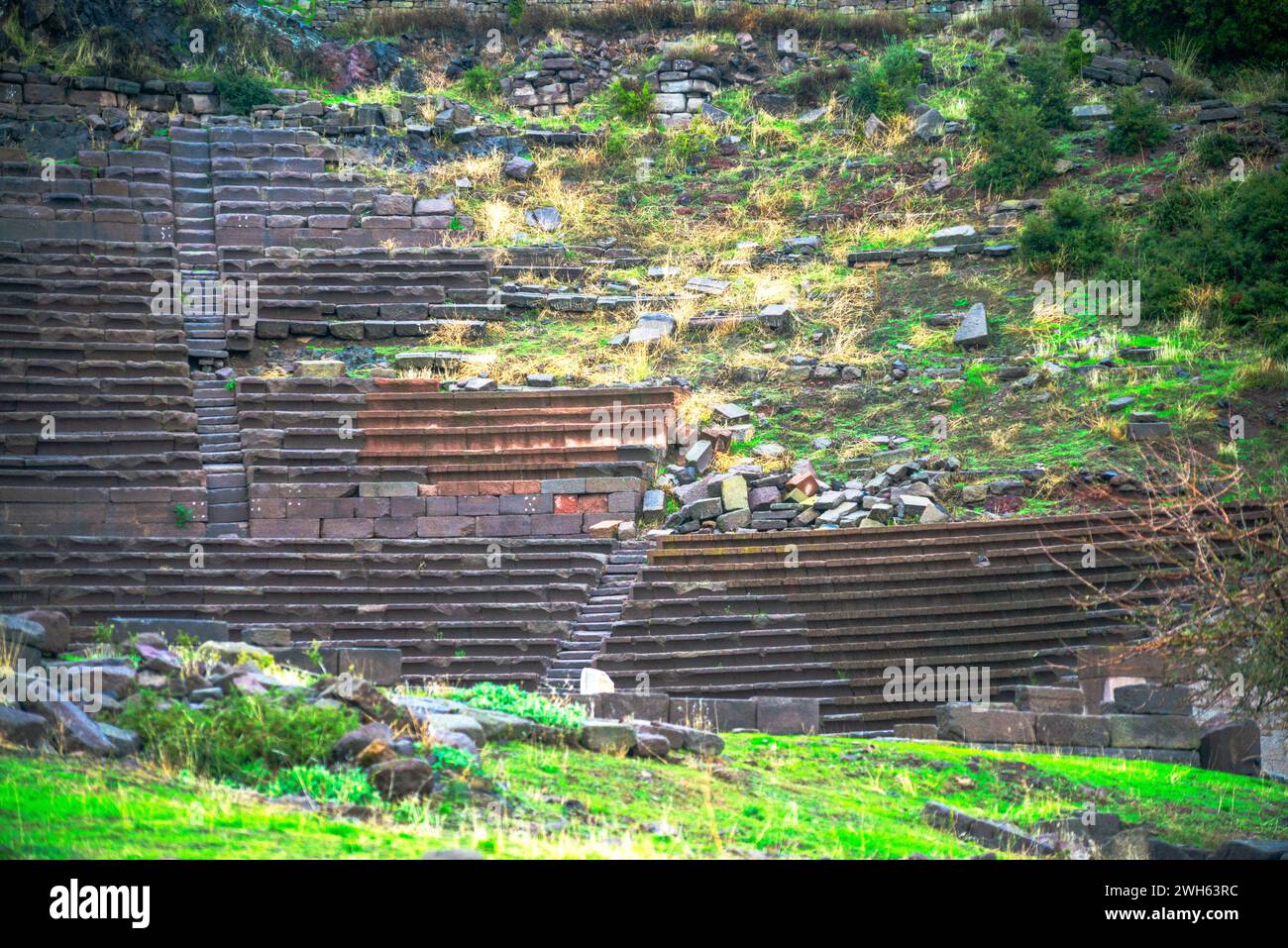 Rangées de sièges en pierre historiques dans l'amphithéâtre, offrant une vue rapprochée de l'agencement en gradins et de l'ancienne allure où le public s'engageait autrefois Banque D'Images