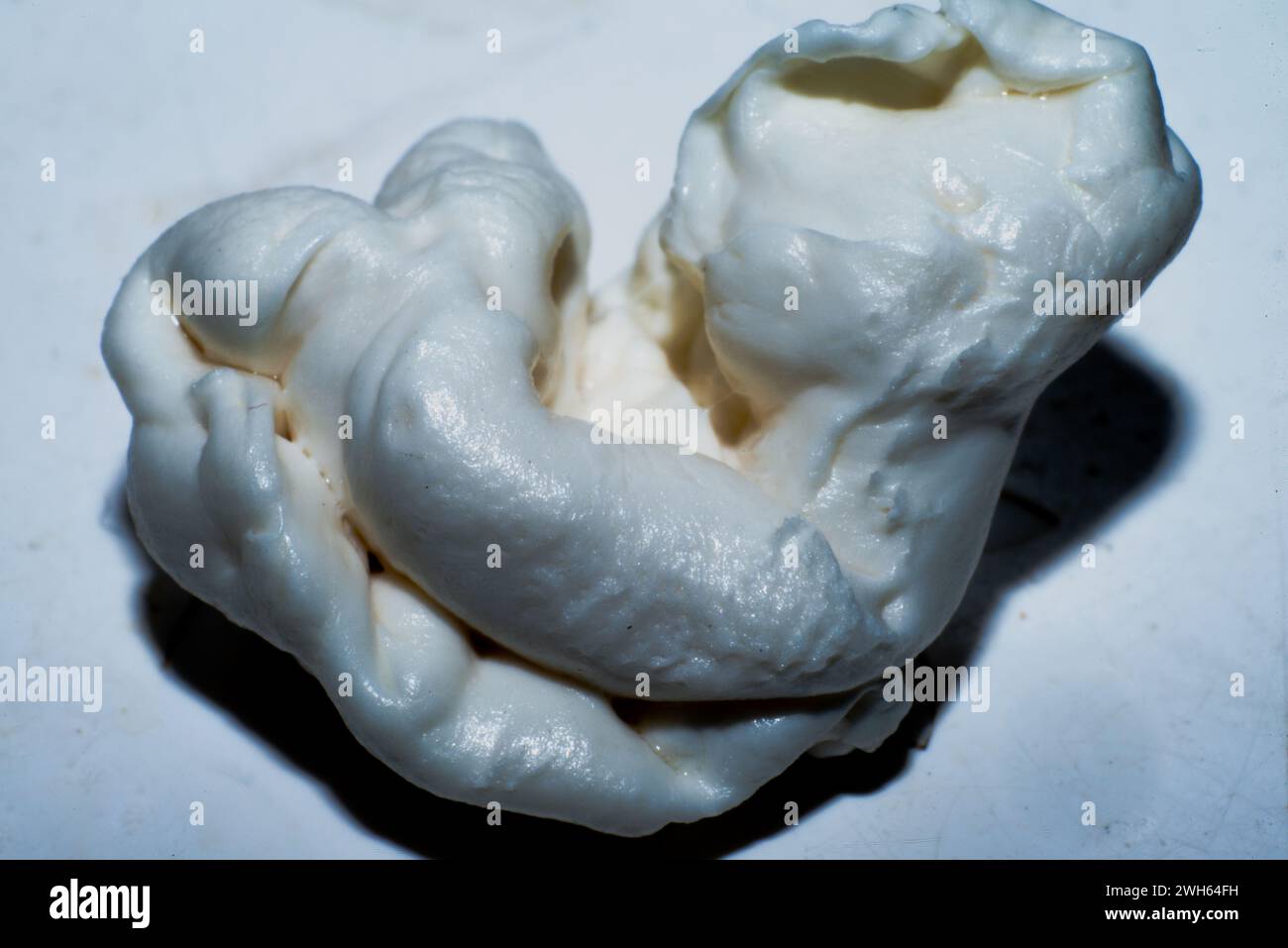 Une macro photo détaillée capturant le désordre texturé et collant d'un chewing-gum mâché sur un fond blanc propre. Banque D'Images