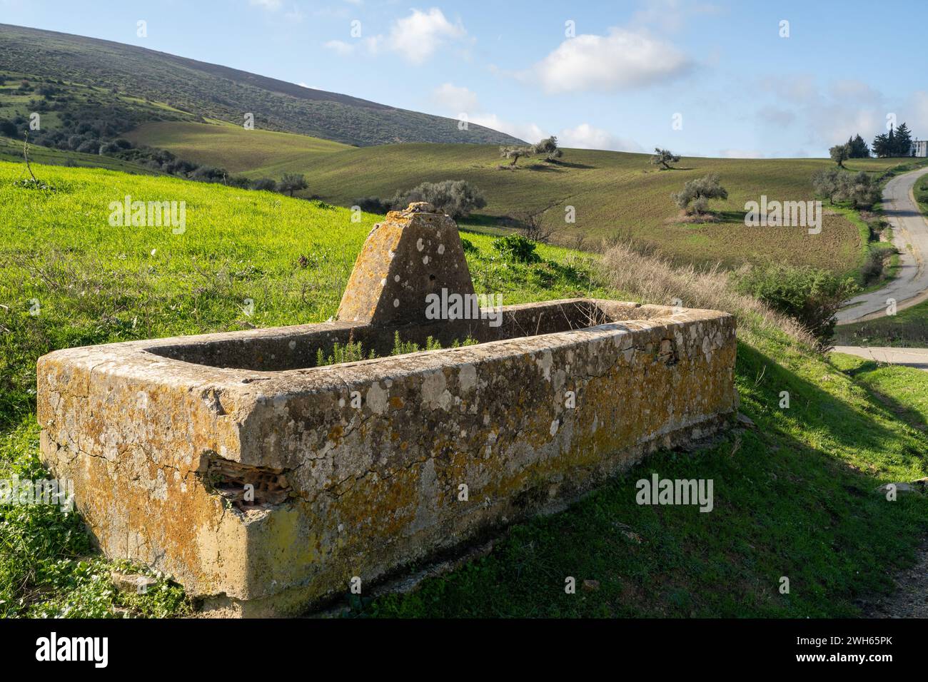 Paysage du nord de la Tunisie - région de Sejnene - Tunisie Banque D'Images