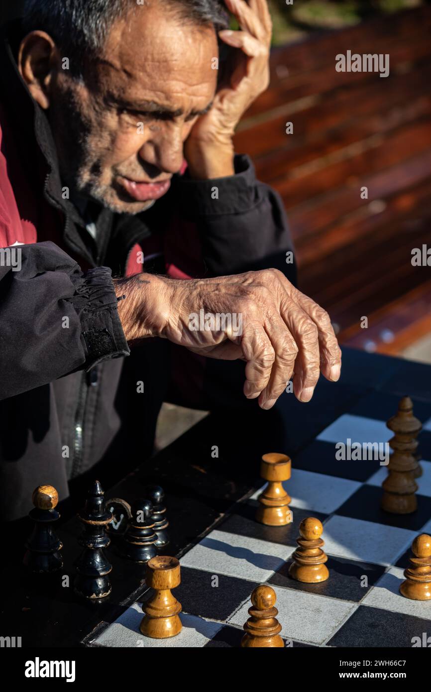 Groupe de personnes âgées dans les années 70 appréciant la compagnie et jouant aux échecs avec des amis dans le parc public le jour ensoleillé Banque D'Images