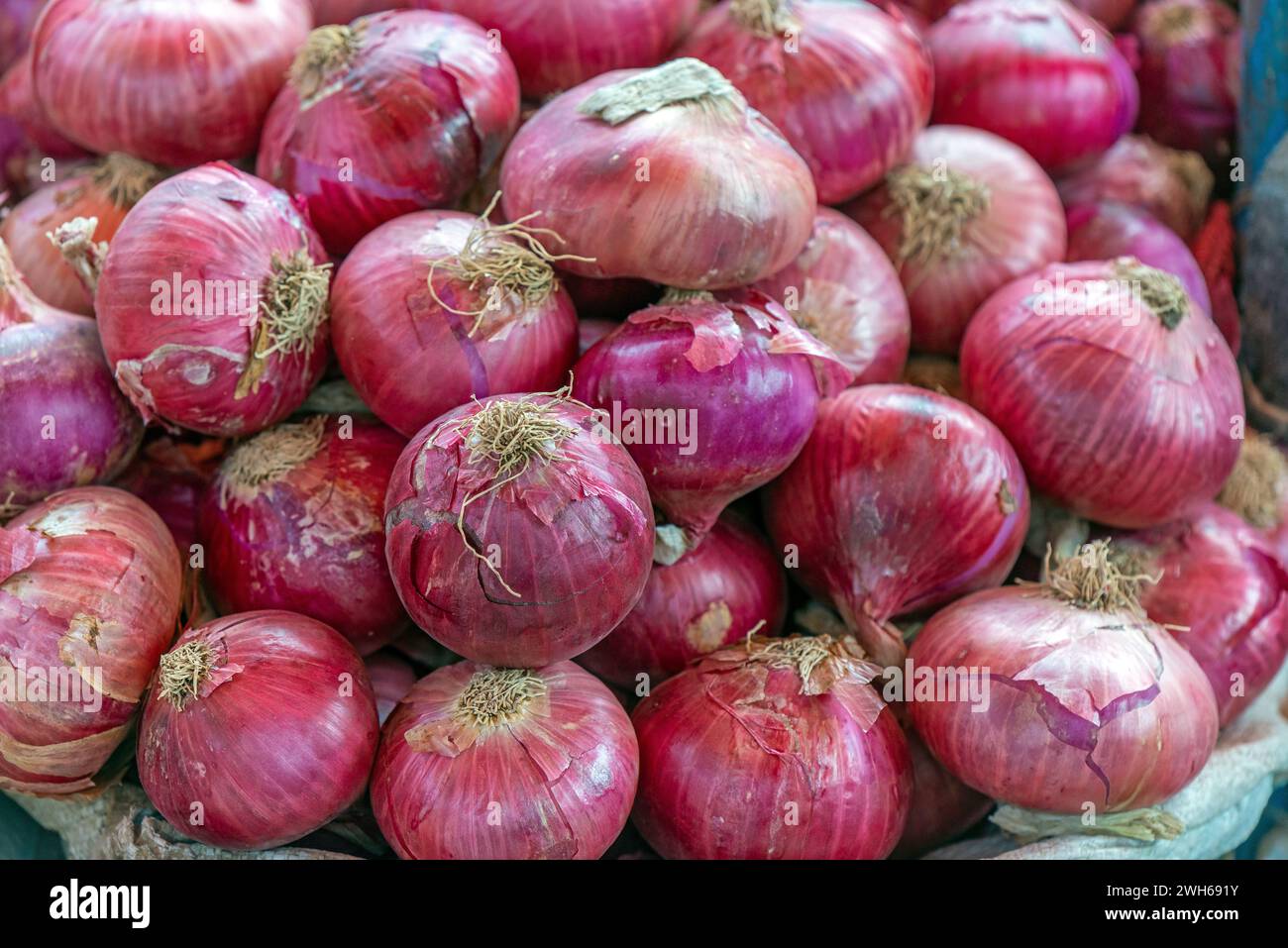 Oignons rouges (Allium cepa) sur le marché local de légumes, Cusco, Pérou. Banque D'Images
