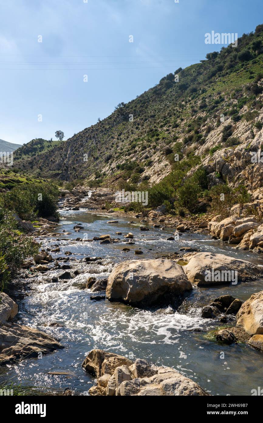 Paysage du nord de la Tunisie - région de Sejnene - Tunisie Banque D'Images