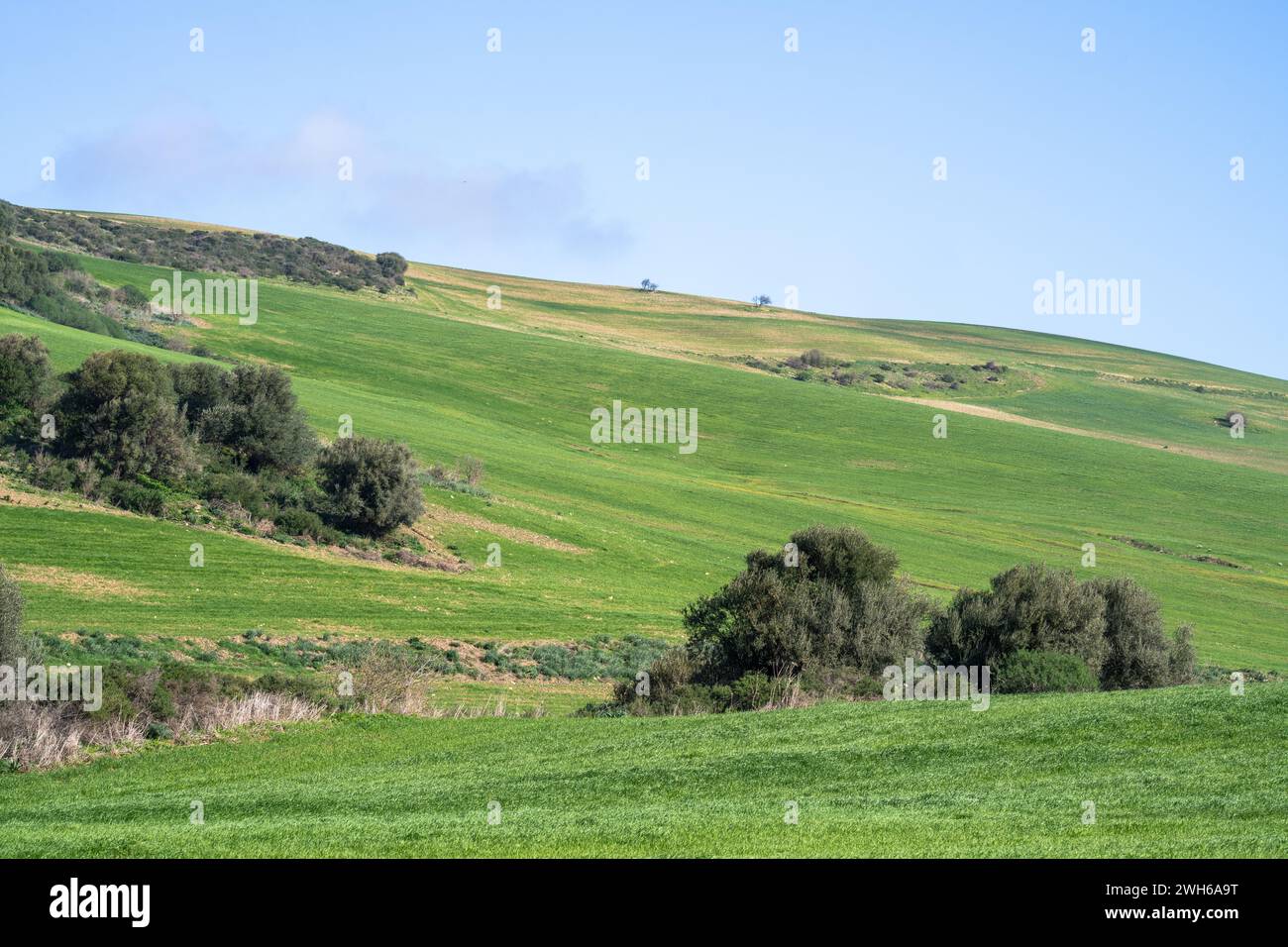 Paysage du nord de la Tunisie - région de Sejnene - Tunisie Banque D'Images