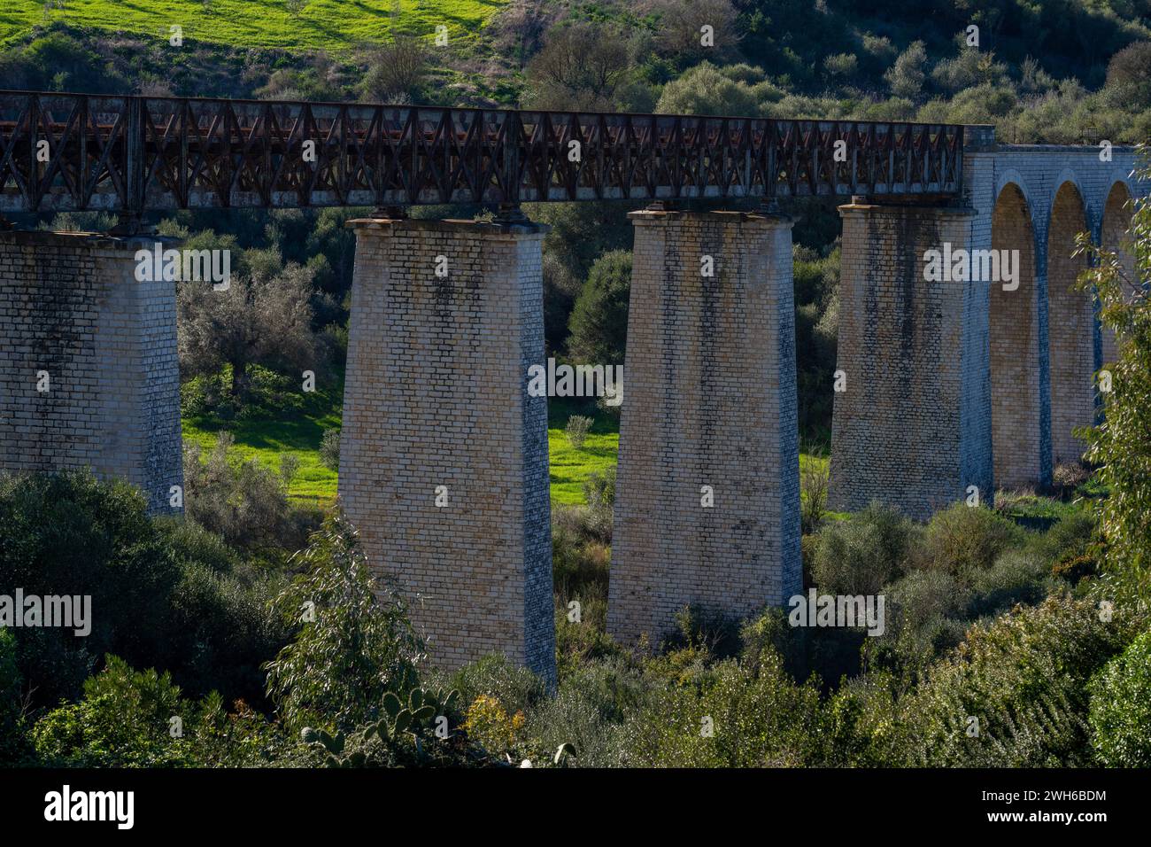 Paysage du nord de la Tunisie - région de Sejnene - Tunisie Banque D'Images