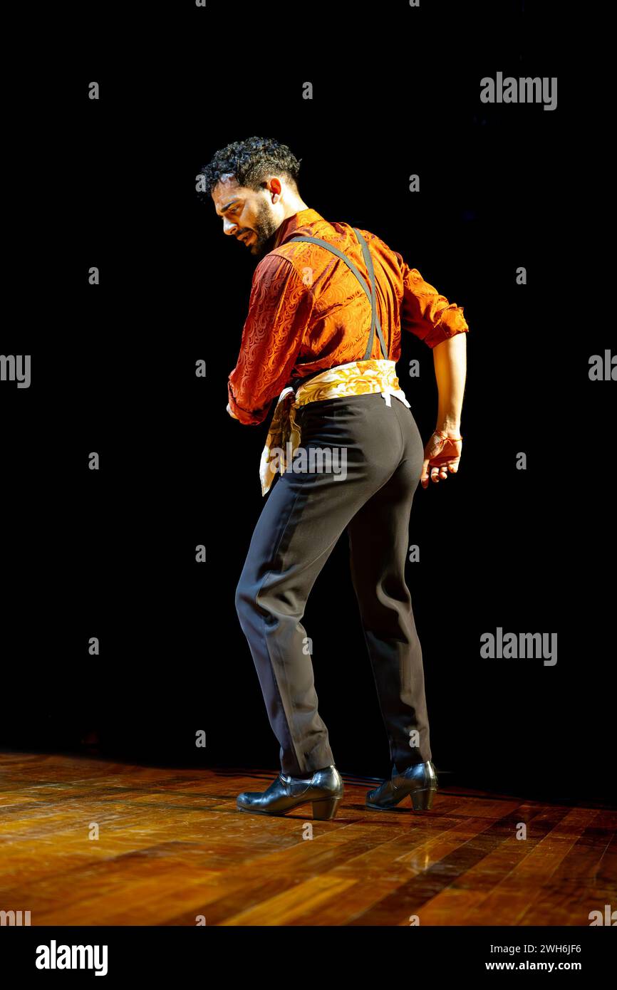 Une vue arrière évocatrice d'un danseur de flamenco masculin dans une pose contemplative, mise en évidence par un éclairage de scène, photo verticale. Banque D'Images