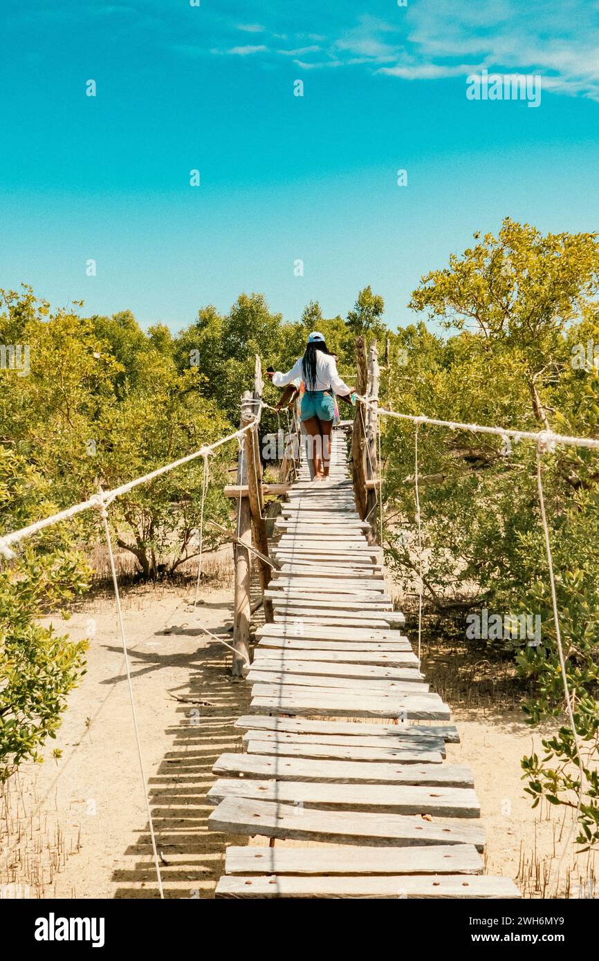 Touristes marchant sur la promenade de Mangrove à Mida Creek pendant la marée basse à Watamu, Malindi, Kenya Banque D'Images