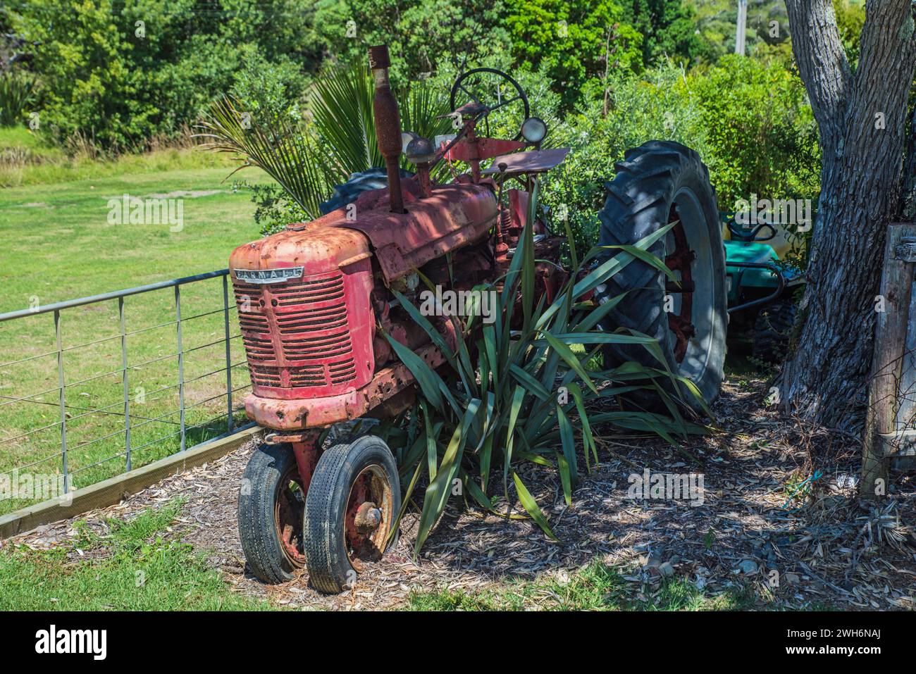 Un vieux tracteur rouge rouillé International Harvester Farmall vers 1950 abandonné dans un jardin Banque D'Images