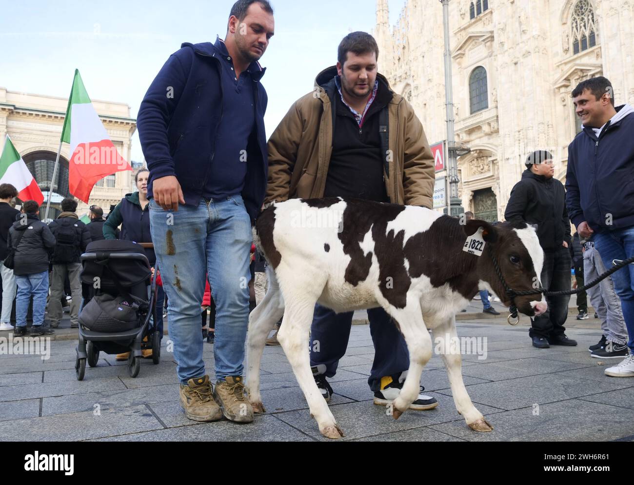 Manifestation des agriculteurs en Italie sur la place Dôme Milan avec la vache Ercolina Banque D'Images