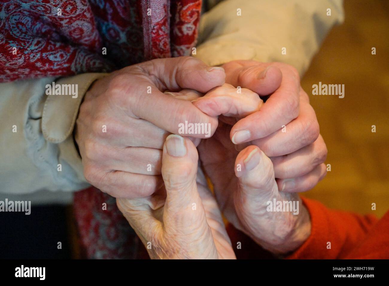 Hände einer alten Frau werden gehalten Banque D'Images