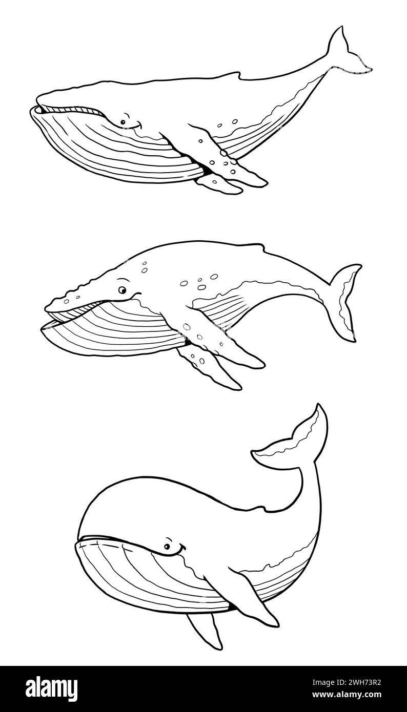 Set avec trois baleines drôles à colorer. Modèle pour un livre de coloriage avec des animaux drôles. Modèle de coloriage pour les enfants. Banque D'Images