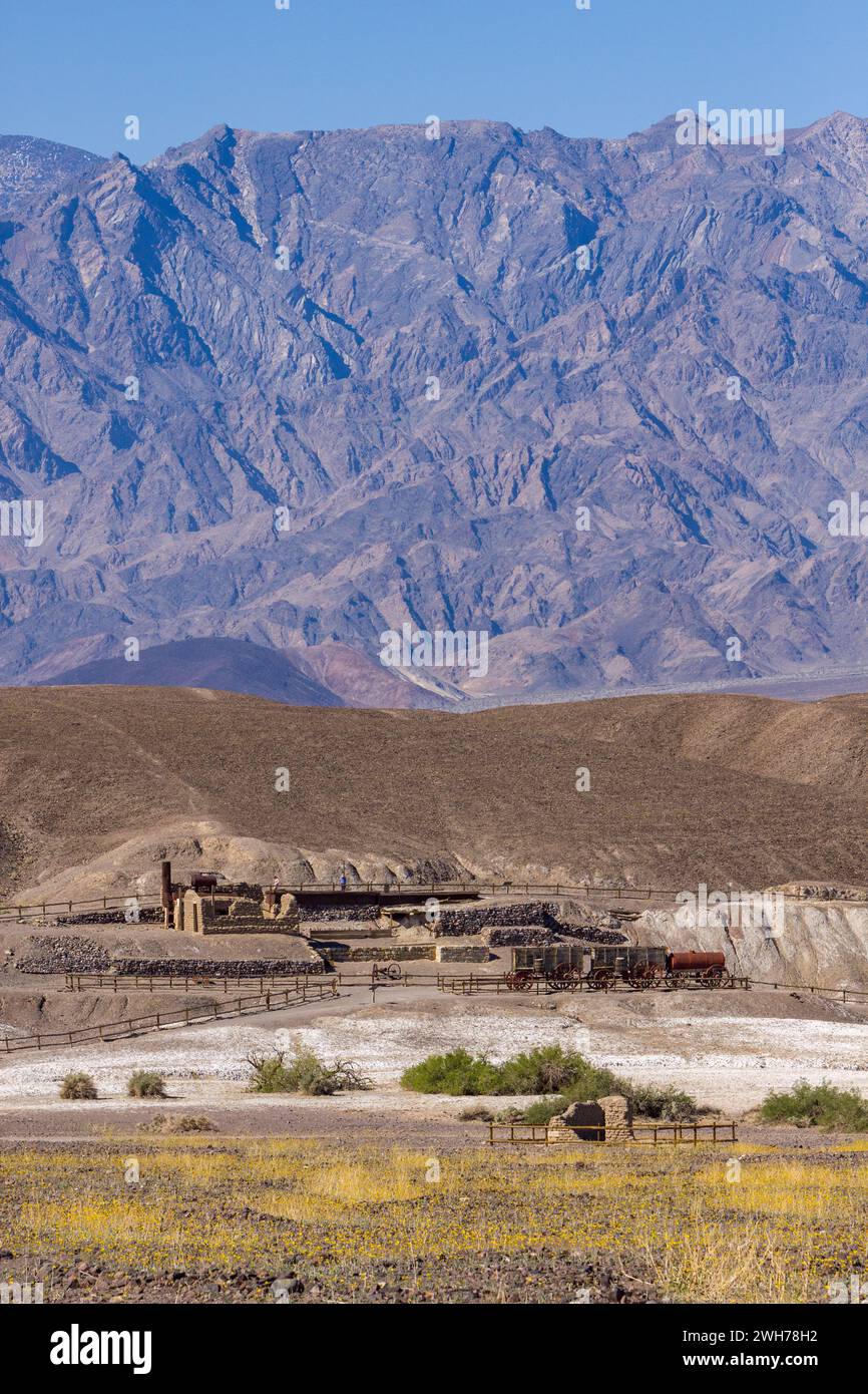 Ruines de l'usine historique de traitement du borax Harmony à Furnace Creek dans le parc national de la Vallée de la mort en Californie. Les fleurs sauvages fleurissent dans le fo Banque D'Images