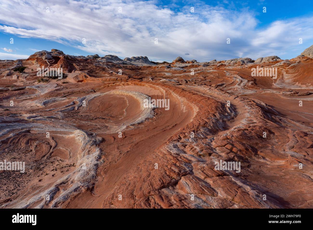 La queue du Dragon, une formation colorée de grès érodée. White Pocket Recreation Area, Vermilion Cliffs National Monument, Arizona. Banque D'Images