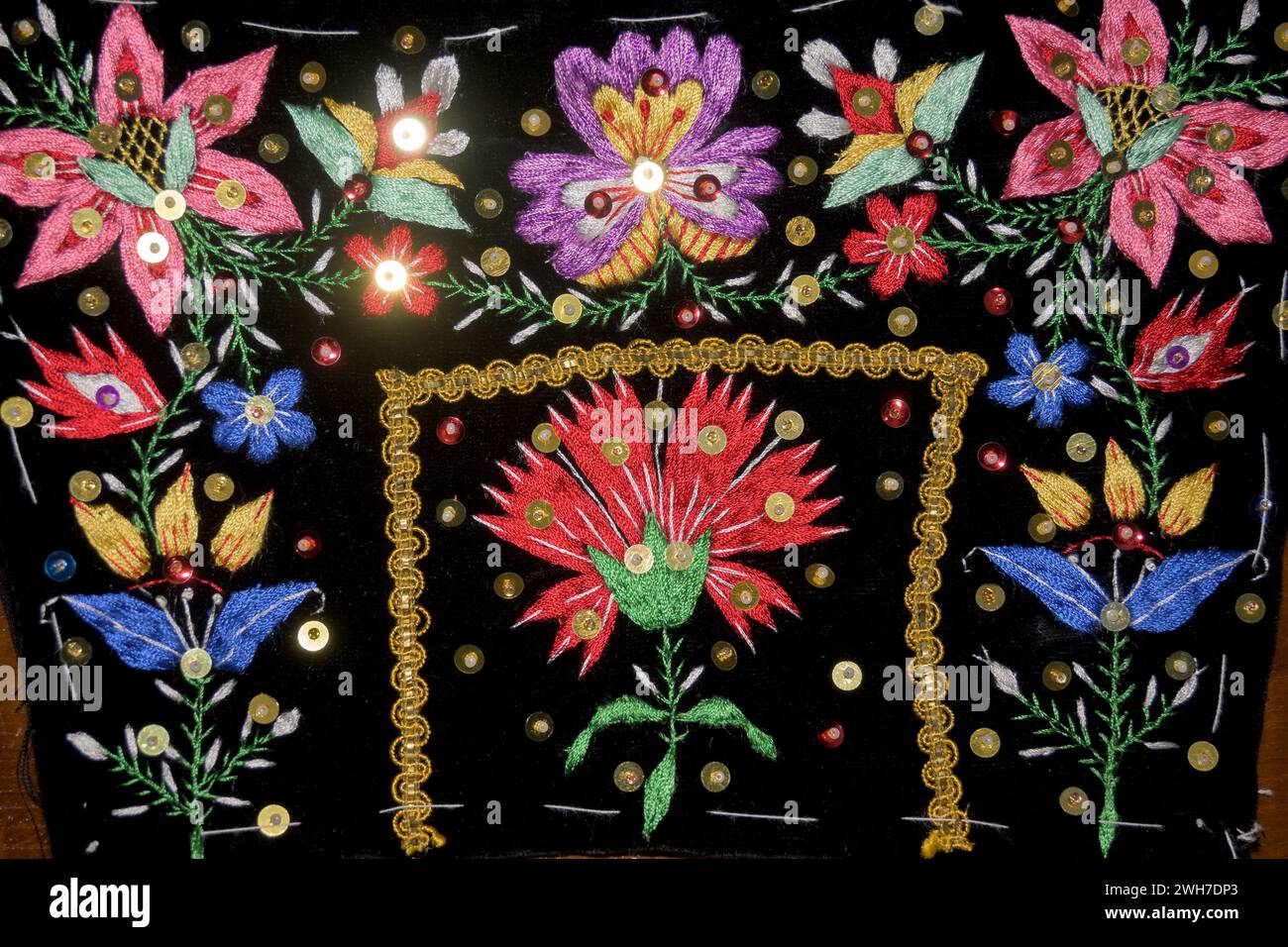 Détail du costume folklorique régional brodé de fleurs, de feuilles et de paillettes lumineuses horizontalement Banque D'Images