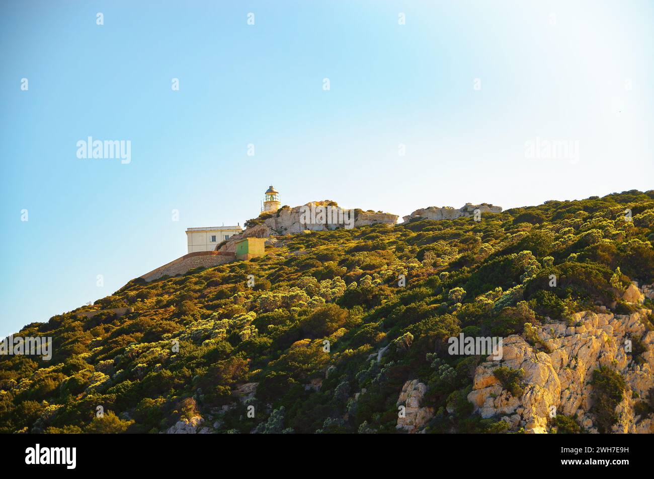 Phare de Capo Caccia perché au sommet d'une falaise verdoyante en Sardaigne, Italie Banque D'Images