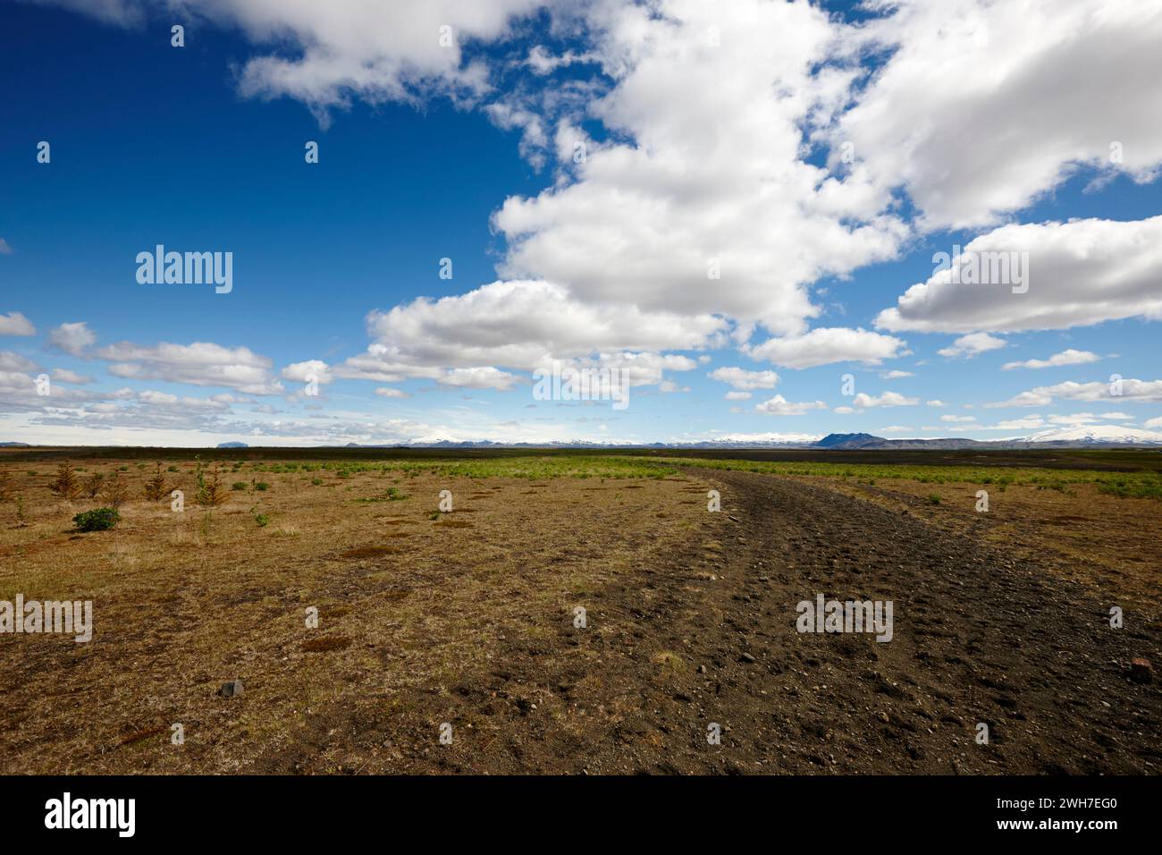Route de terre au large dans la vallée fertile plate de terres agricoles dans le sud de l'islande près de Hella Iceland Banque D'Images
