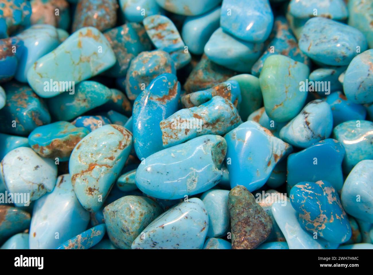 Turquoise poli, exposition rocheuse et gemme de la Willamette Agate & Mineral Society, parc d'expositions du comté de Polk, Oregon Banque D'Images