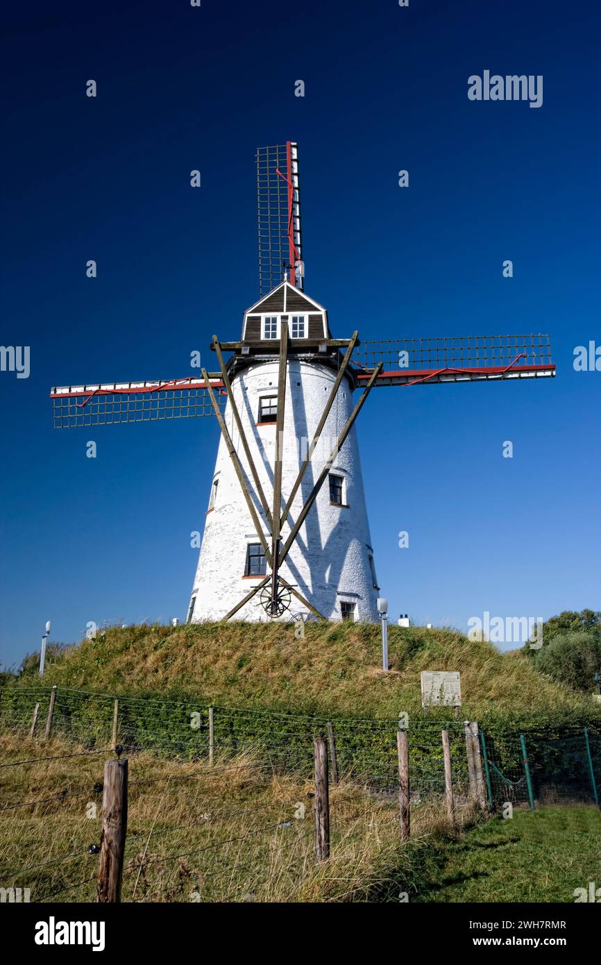 Le moulin de Schellemolen, Noorweegse Kaai, Damme, Flandre, Belgique, Europe Banque D'Images