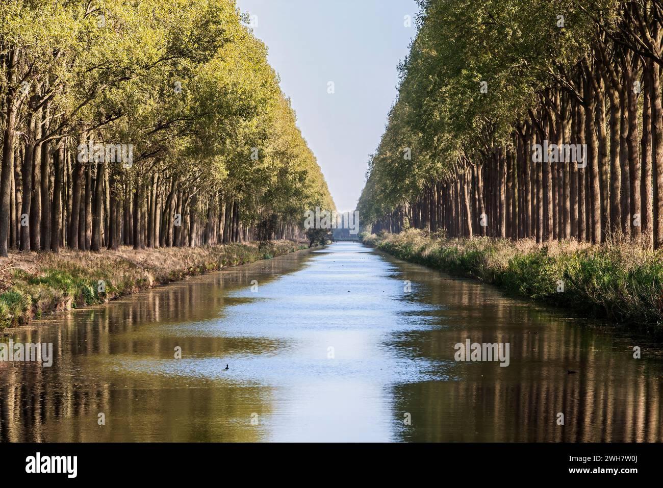 Damme canal, Damse Vaart, Damme, Flandre, Belgique, Europe Banque D'Images