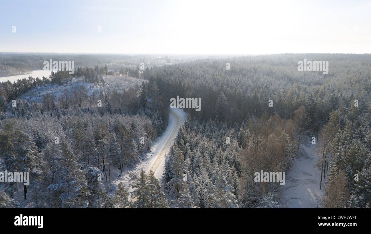 Vue aérienne par drone du vaste paysage forestier en hiver, avec la route menant à travers les bois Banque D'Images