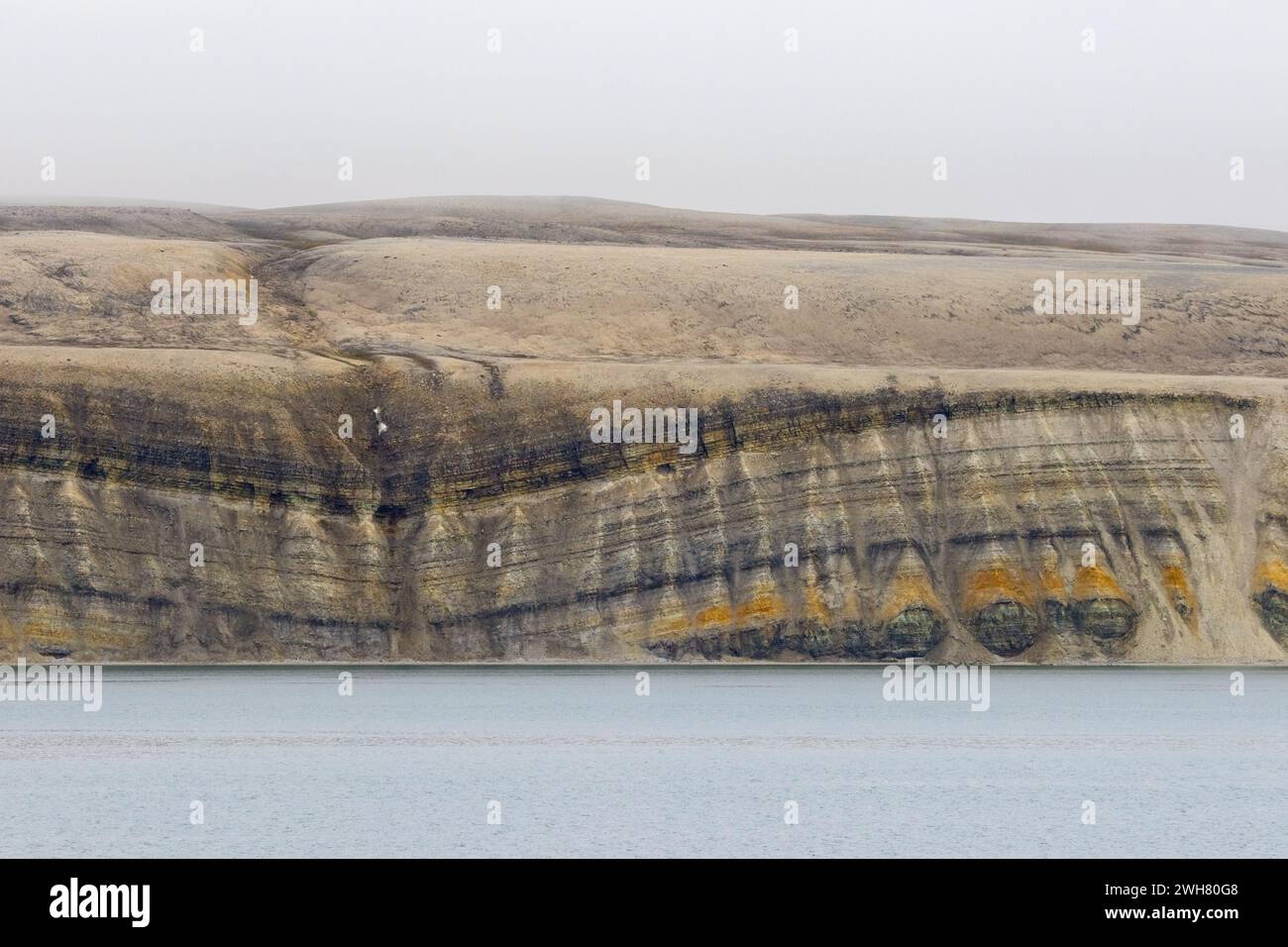 Falaise marine montrant des strates de calcaire et de grès de la période Permienne le long du détroit de Hinlopen / Hinlopenstretet, Spitzberg / Svalbard, Norvège Banque D'Images