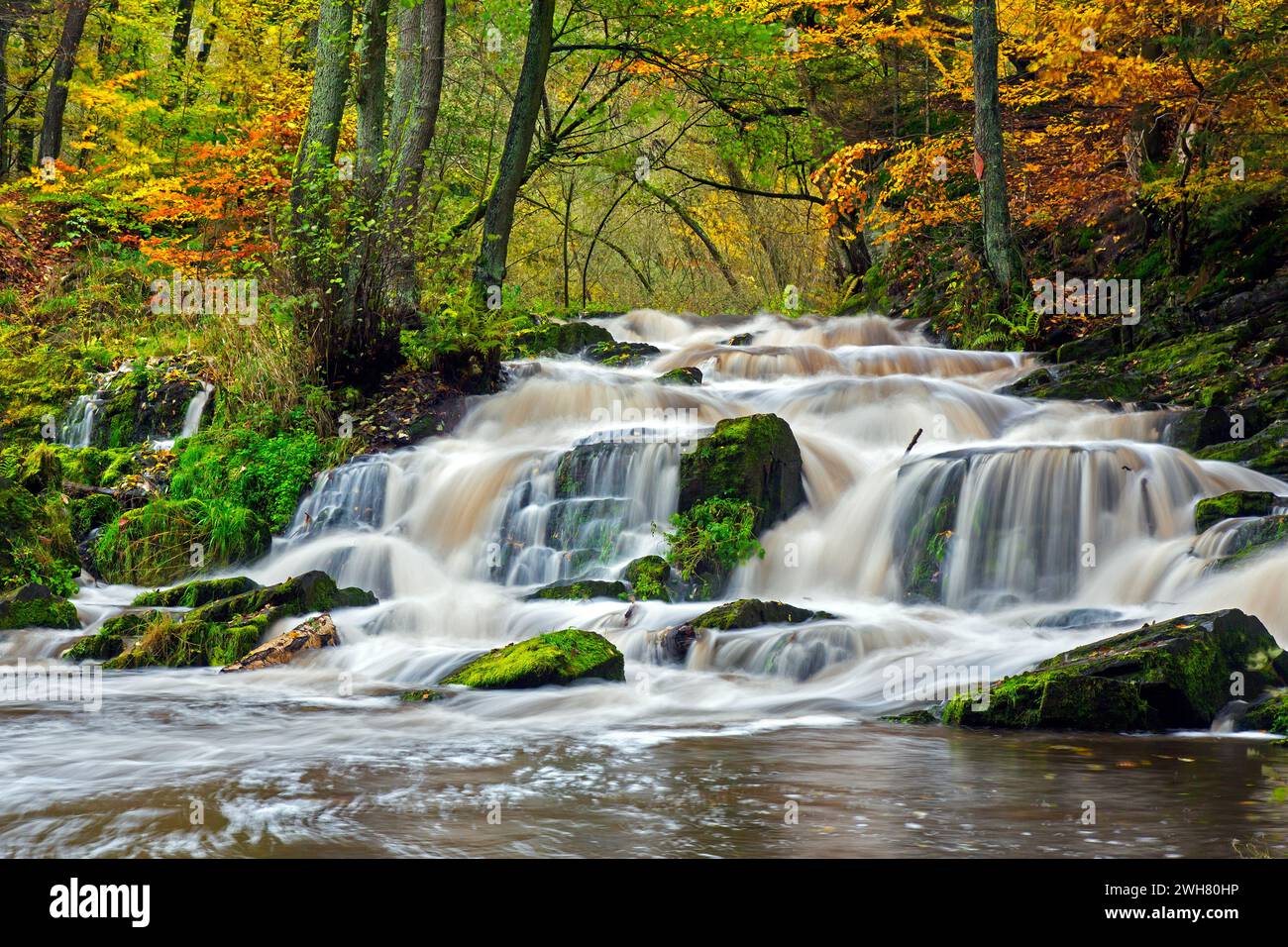 Cascade près d'Alexisbad sur la rivière Selke dans la réserve naturelle Obere Selketal en automne, district de Harz, Saxe-Anhalt / Saxe-Anhalt, Allemagne Banque D'Images