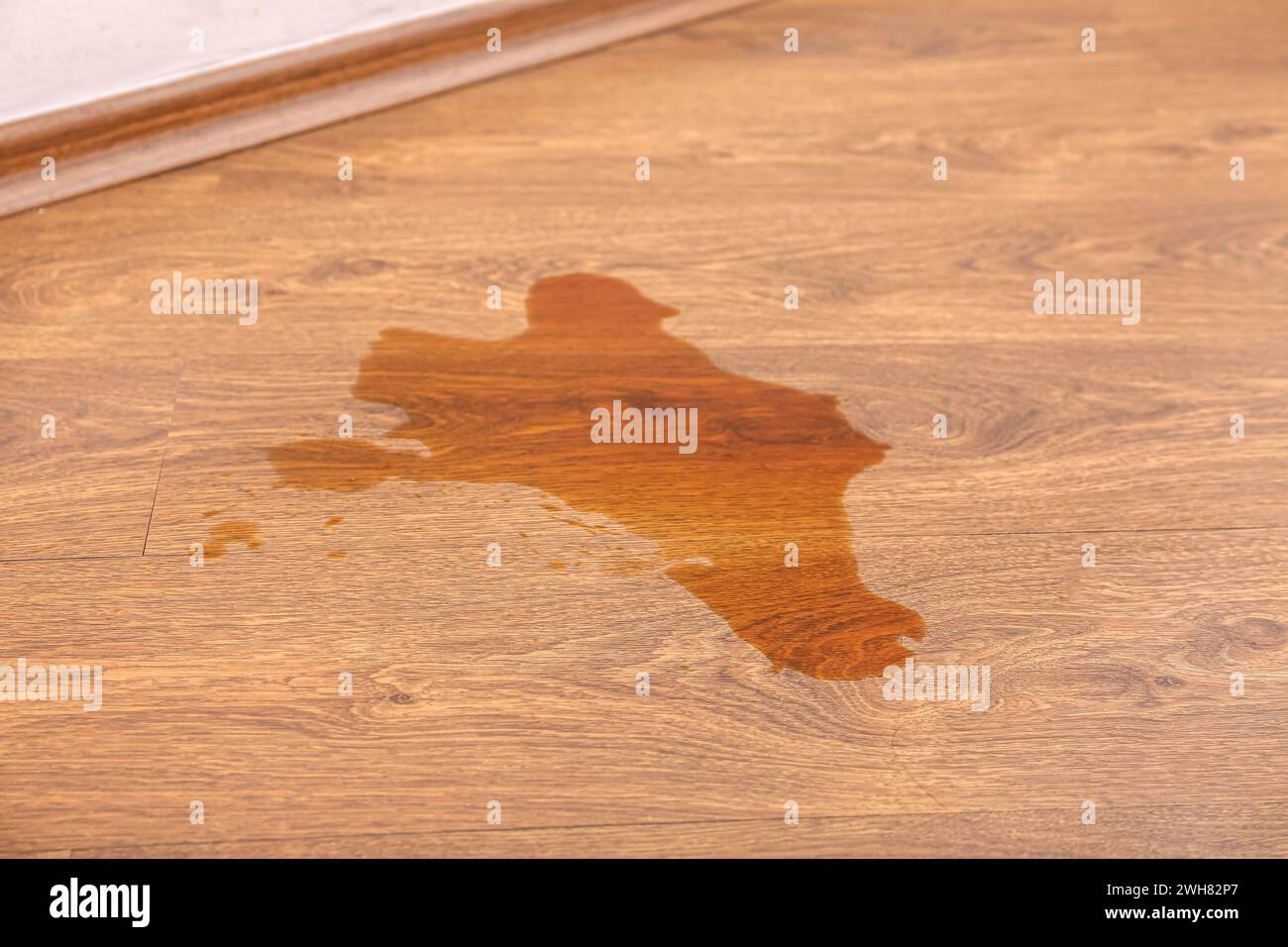 Plancher stratifié en bois avec du thé renversé Banque D'Images Plancher stratifié en bois avec du thé renversé Banque D'Images