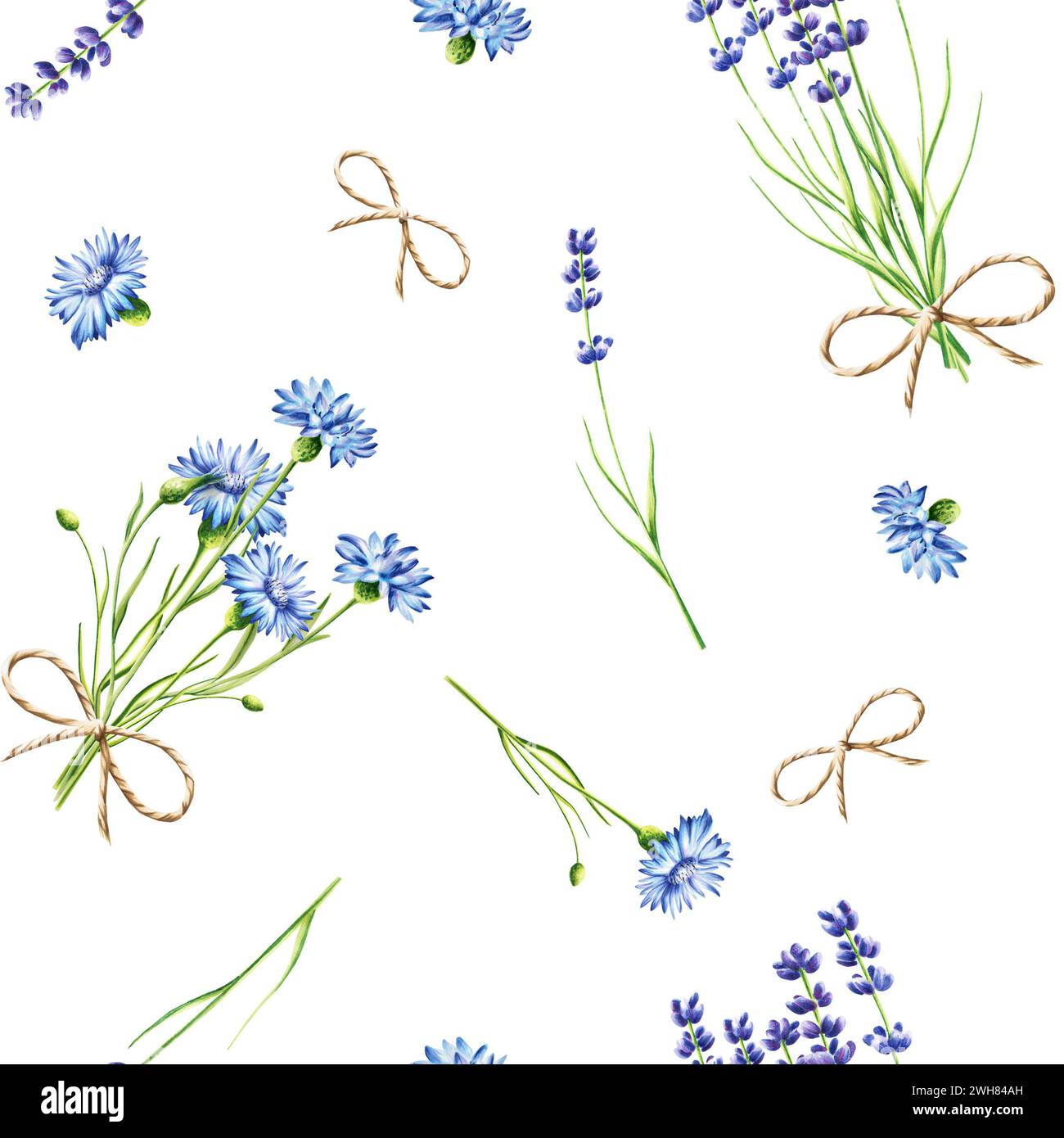 Bouquet d'aquarelle de fleurs bleues de bleuet et illustration de lavande isolé sur fond. Détail des produits de beauté et ensemble botanique, cosmétologie Banque D'Images